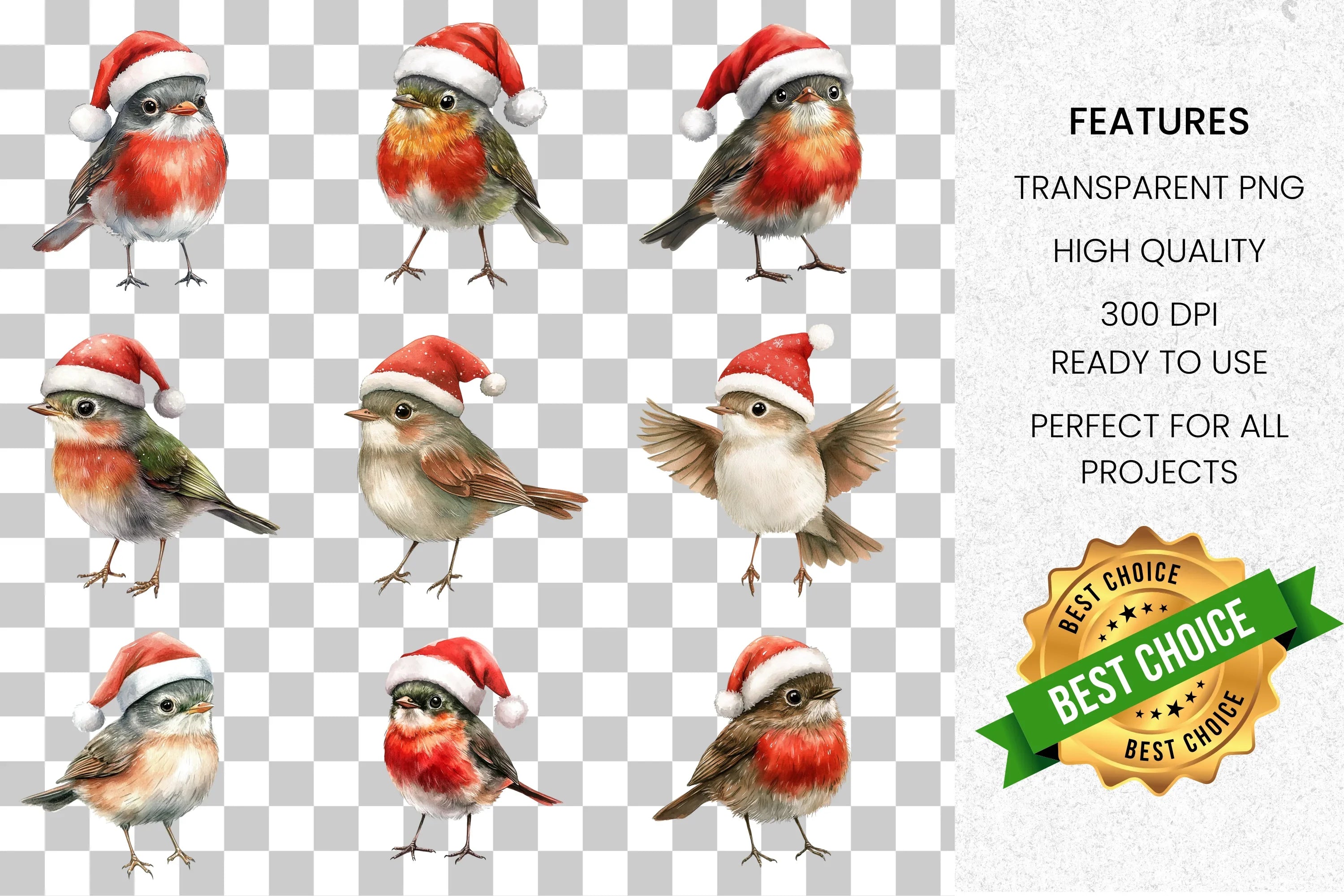Charming Christmas Birds Clipart Bundle