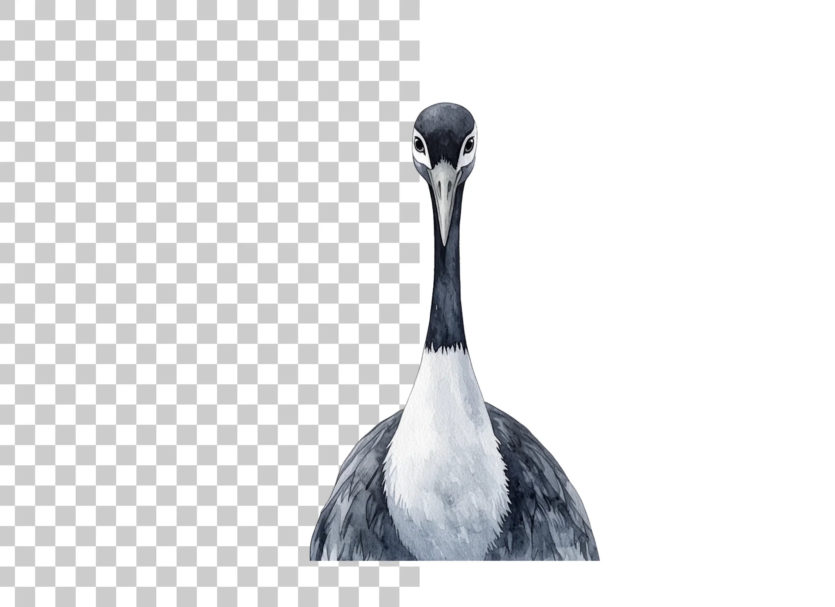 Striking Crane Head Clipart Bundle