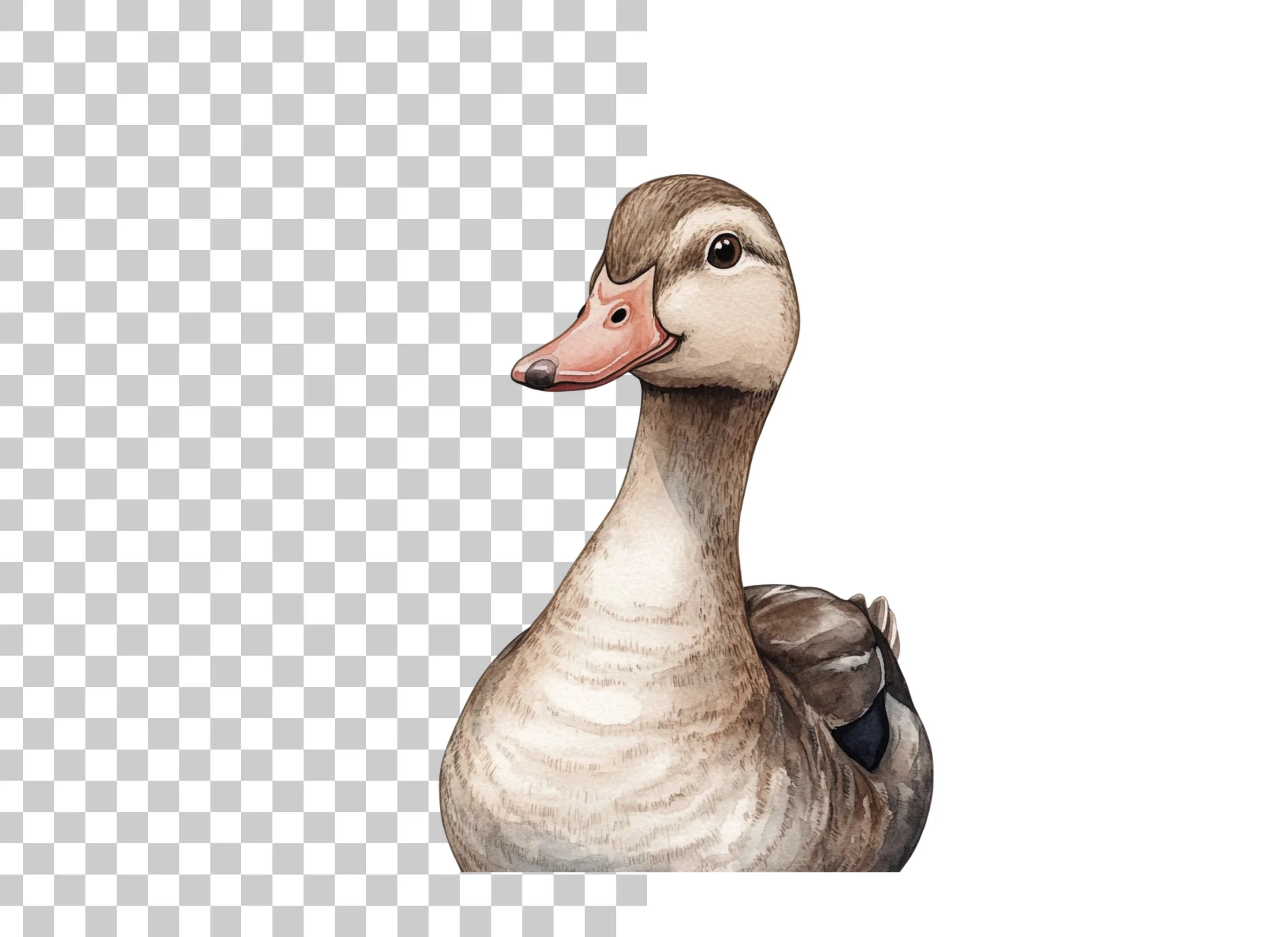 Duckling Clipart Bundle