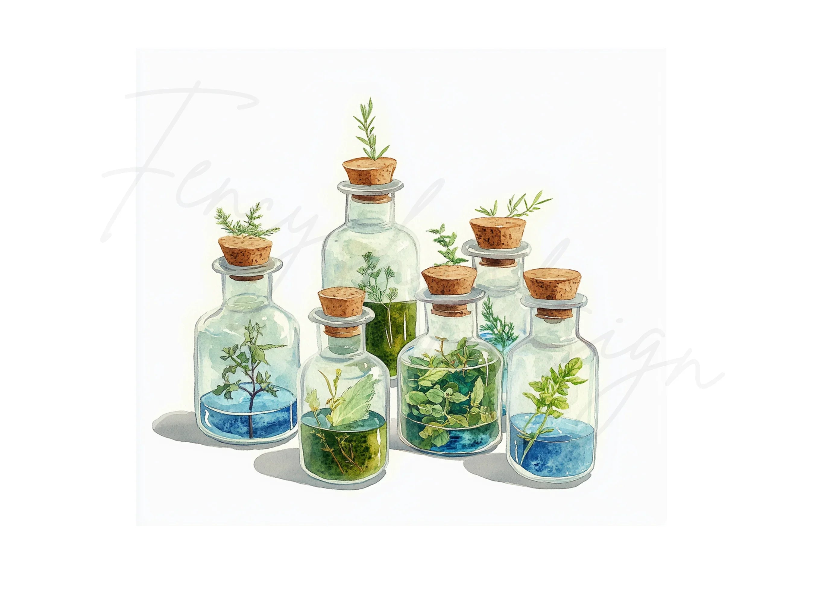 Herbal Glass Bottles Clipart Bundle