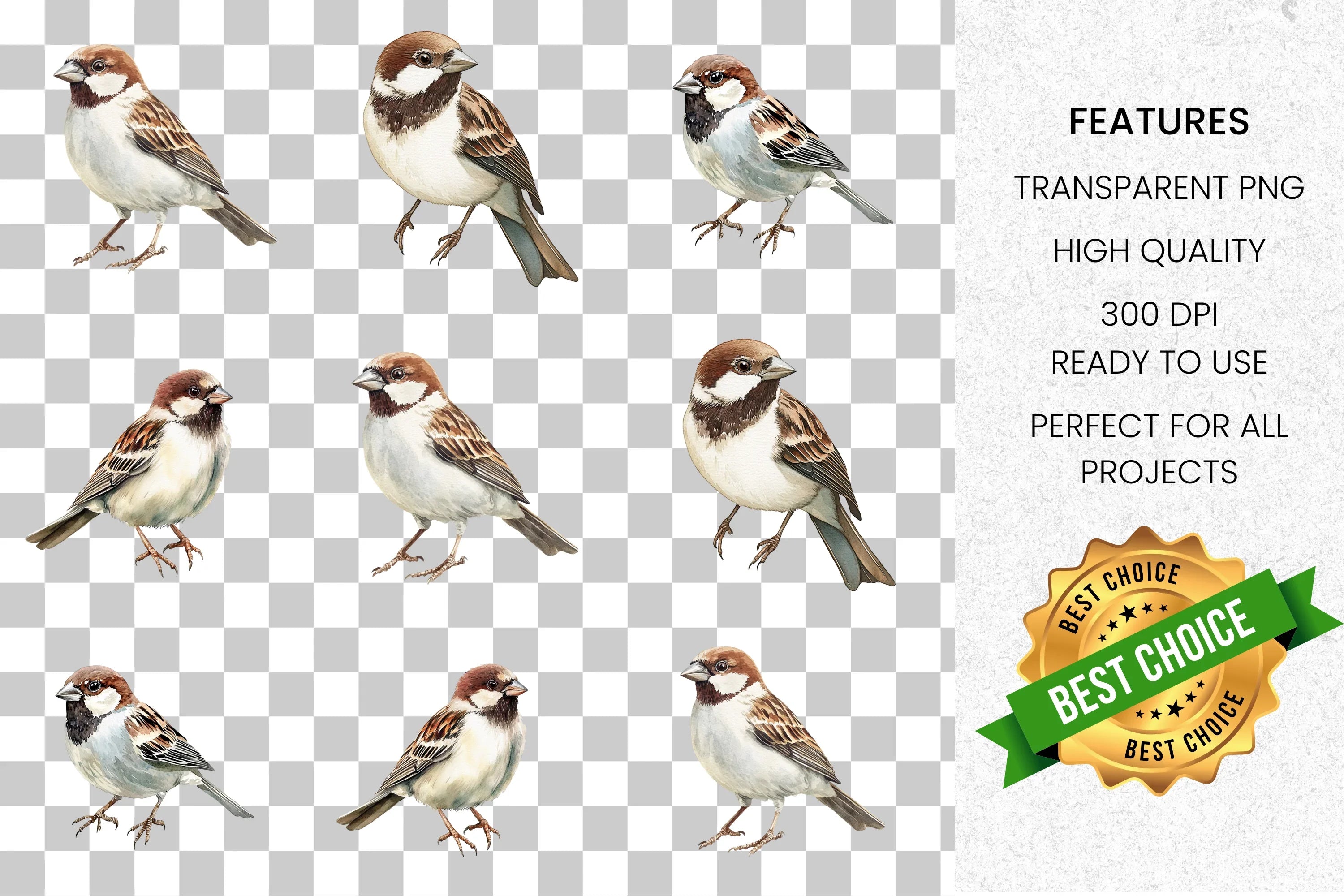 Sparrow Bird Clipart Bundle