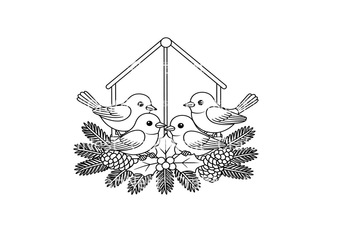 Winter Birds Feeder Coloring Books