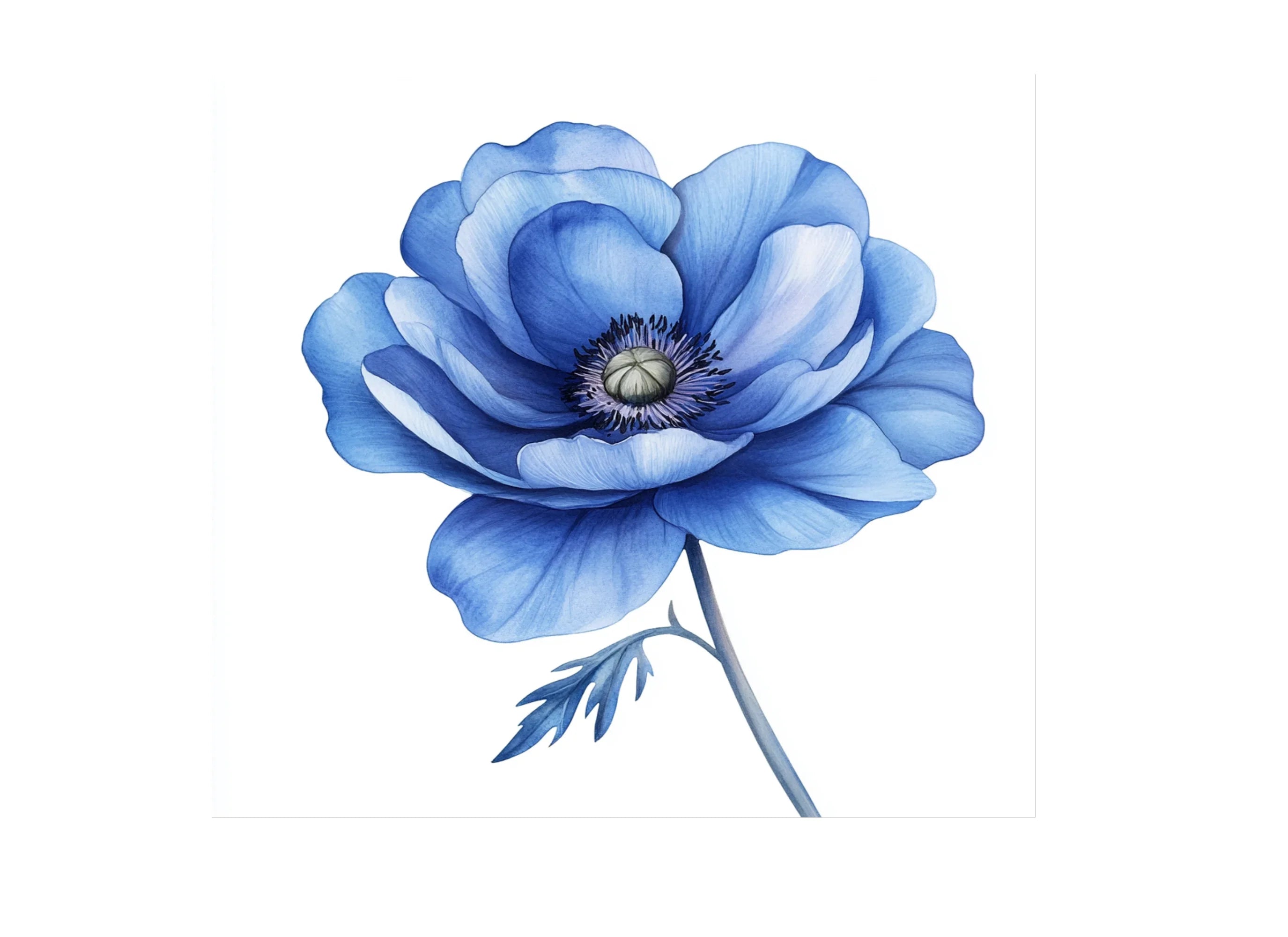 Vibrant Blue Anemone Flower Clipart Bundle