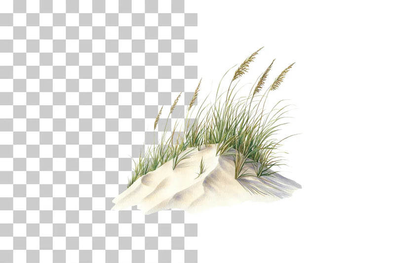 Coastal Sand Dunes with Grass Clipart Bundle - CraftNest - Digital Crafting and Art