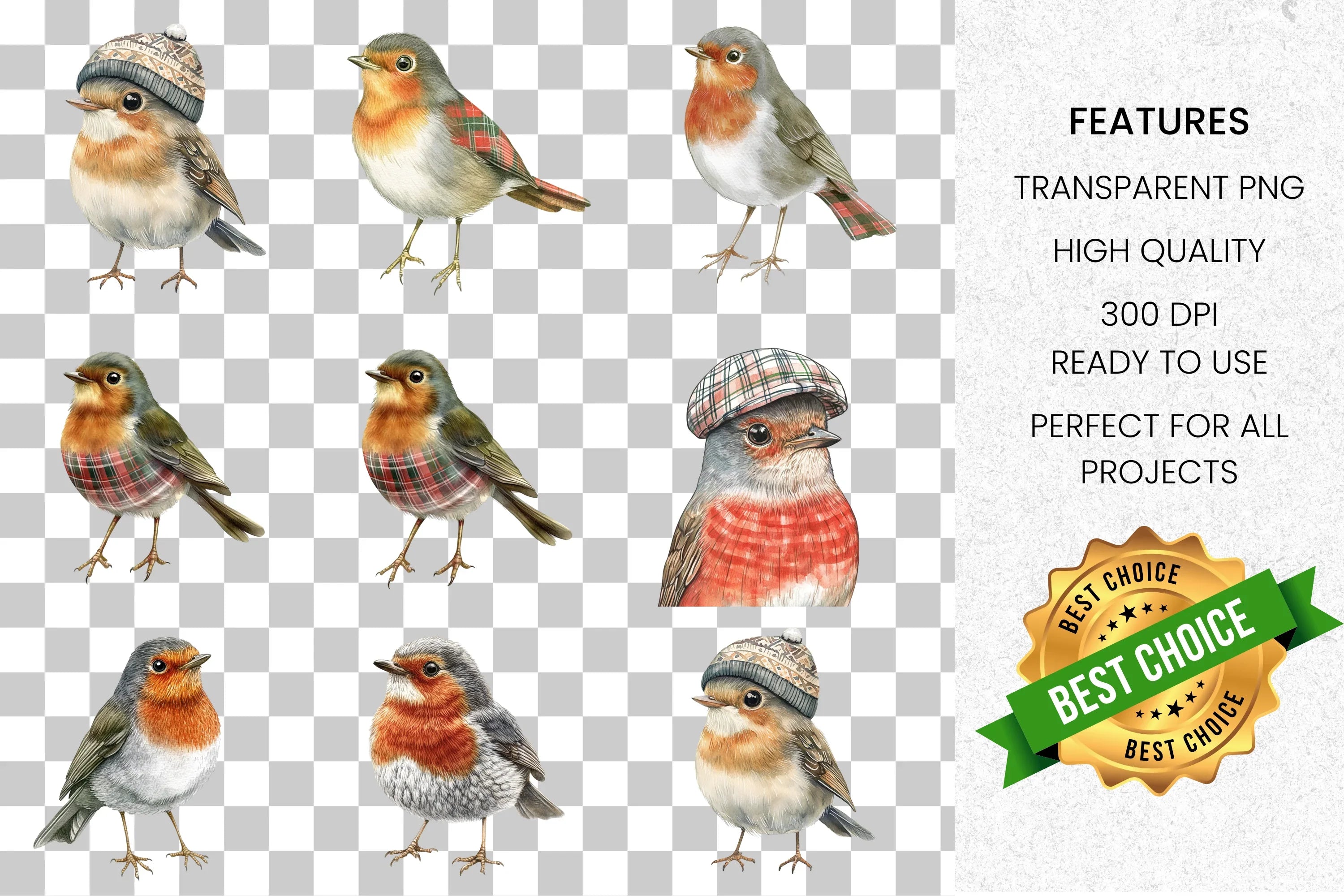 Charming Robin Clipart Bundle