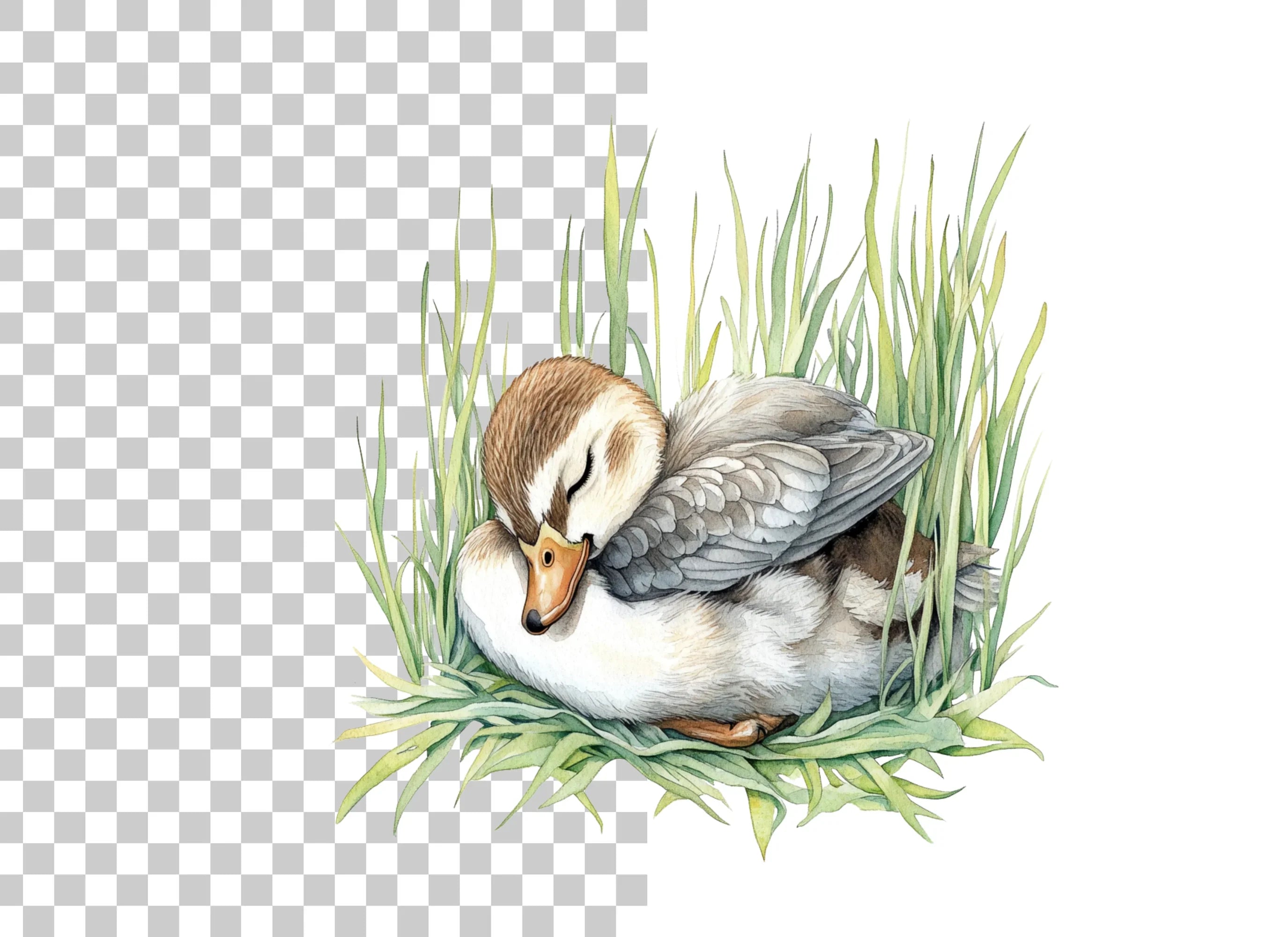 Sleeping Ducklings in Grass Clipart Bundle