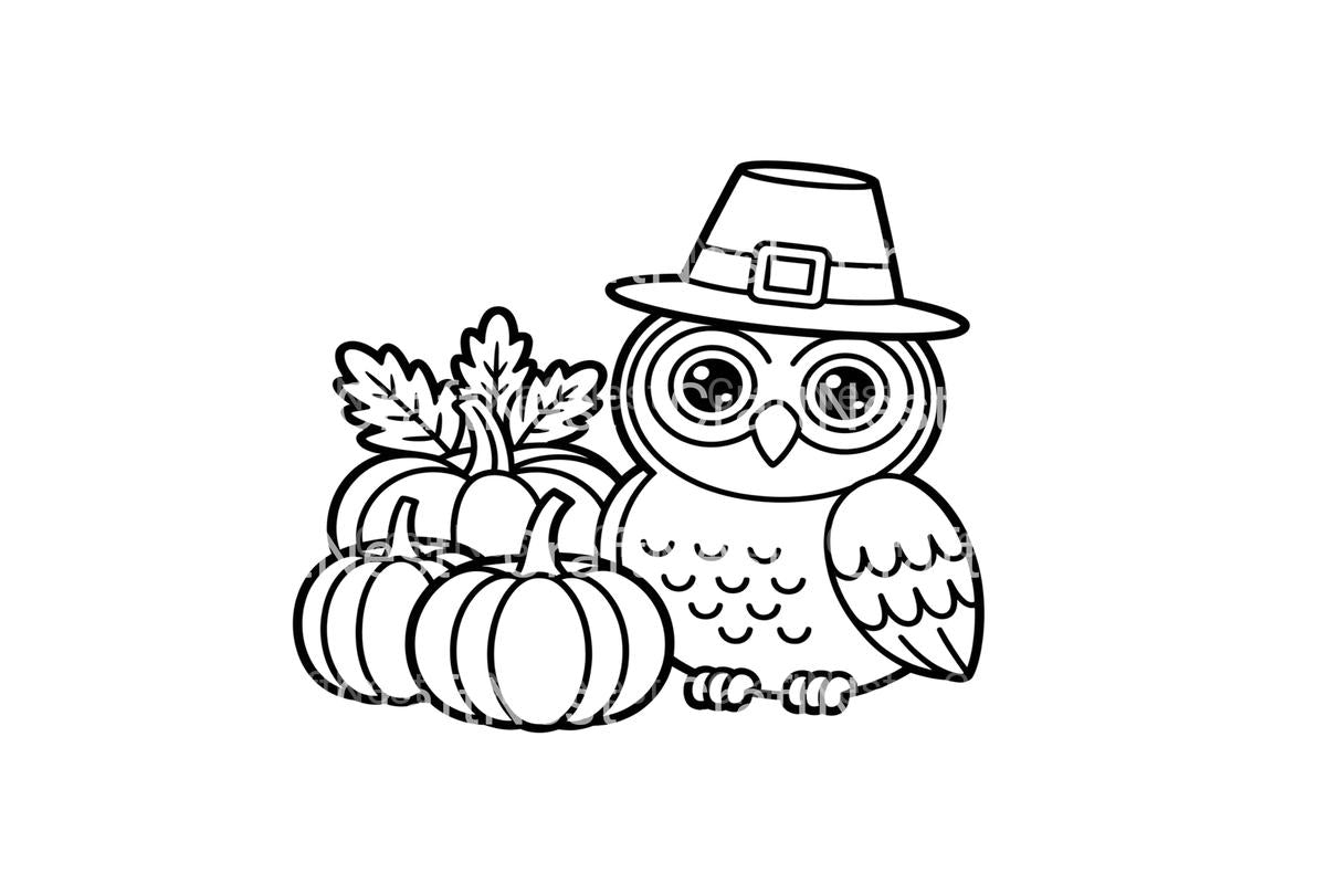 Thanksgiving Owl and Pumpkins Coloring Books