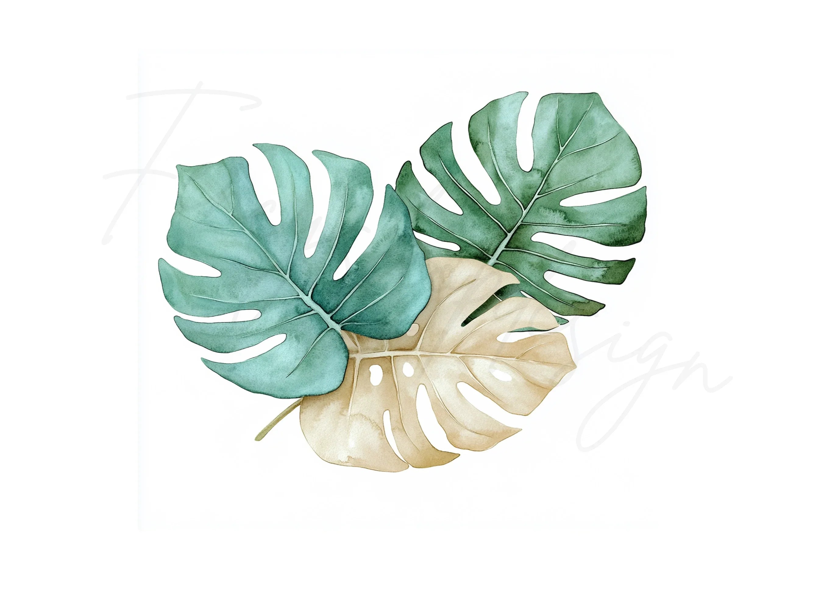 Monstera Leaves Clipart Bundle