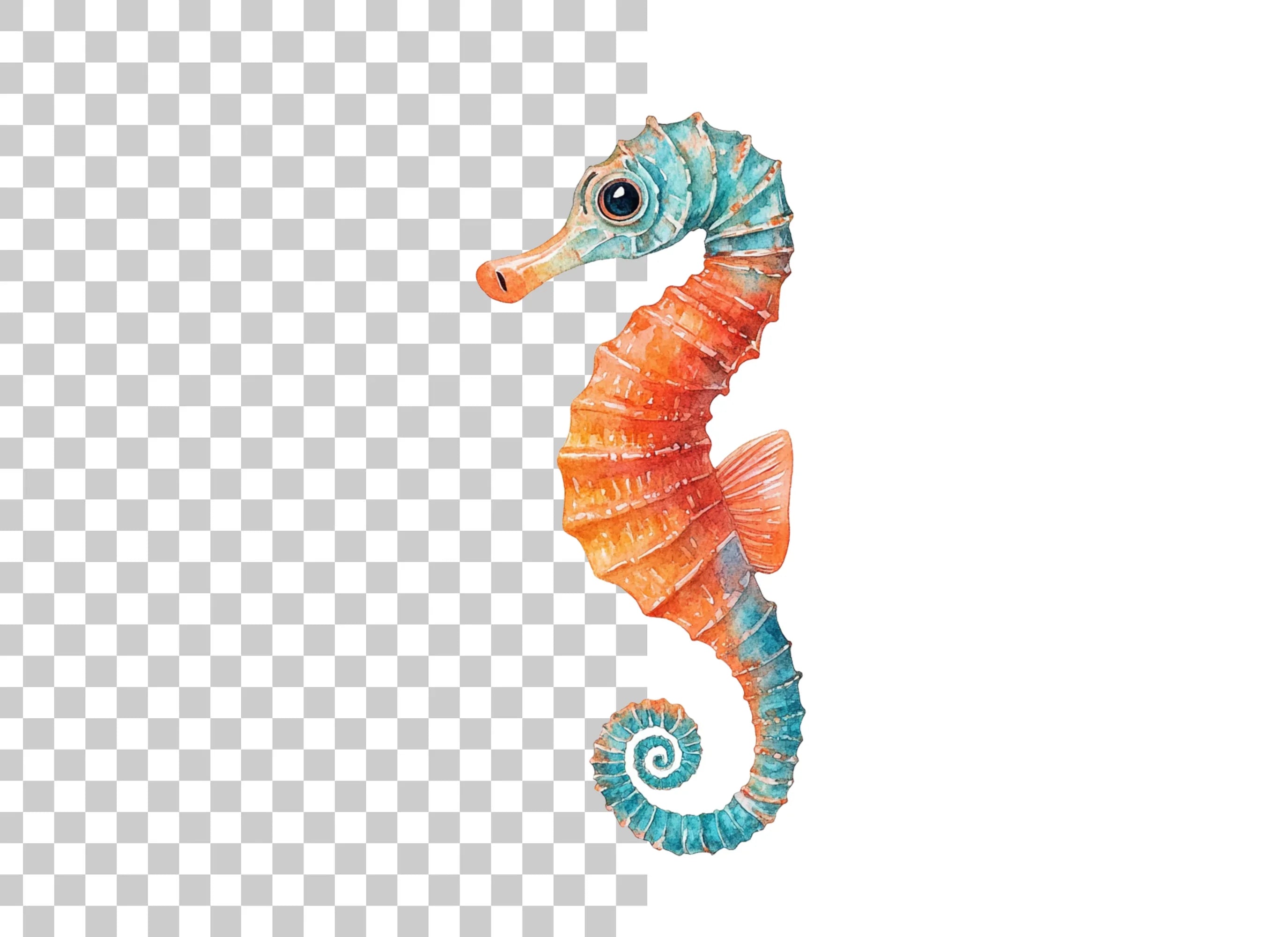Vibrant Seahorse Duo Clipart Bundle