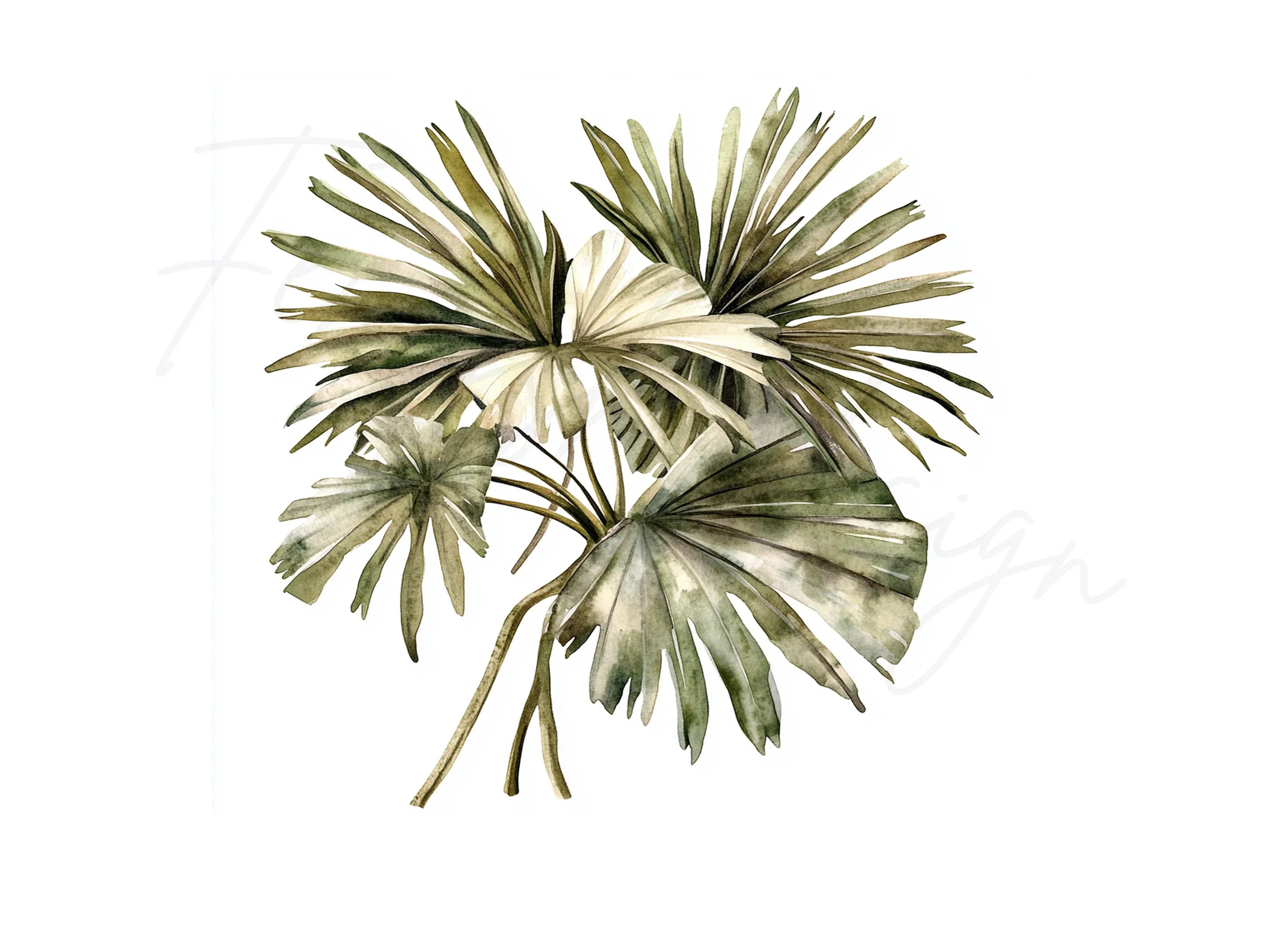 Dried Palm Leaves Clipart Bundle