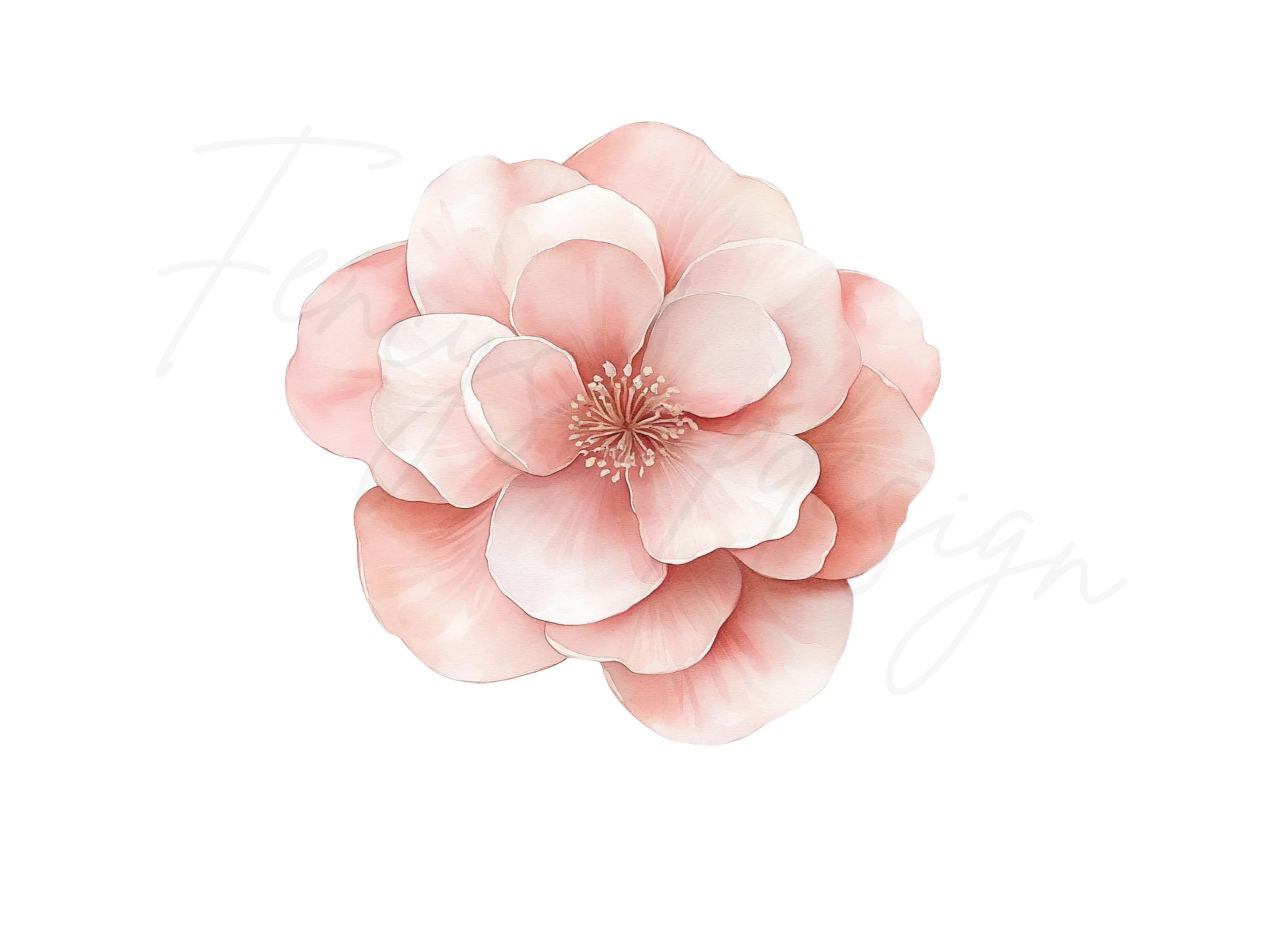 Blush Pink Flower Clipart Bundle