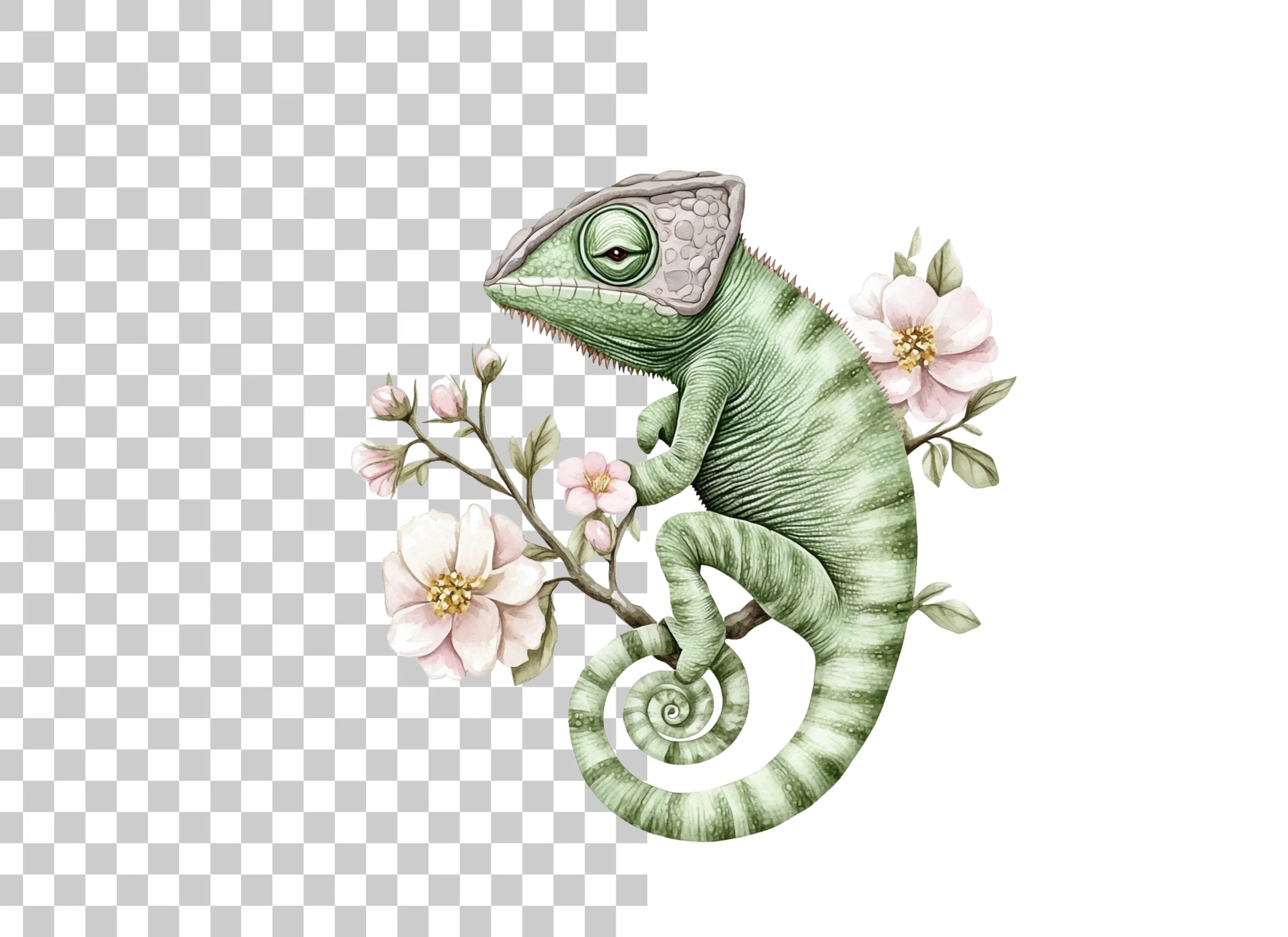 Chameleon on Branch with Pink Flowers Clipart Bundle
