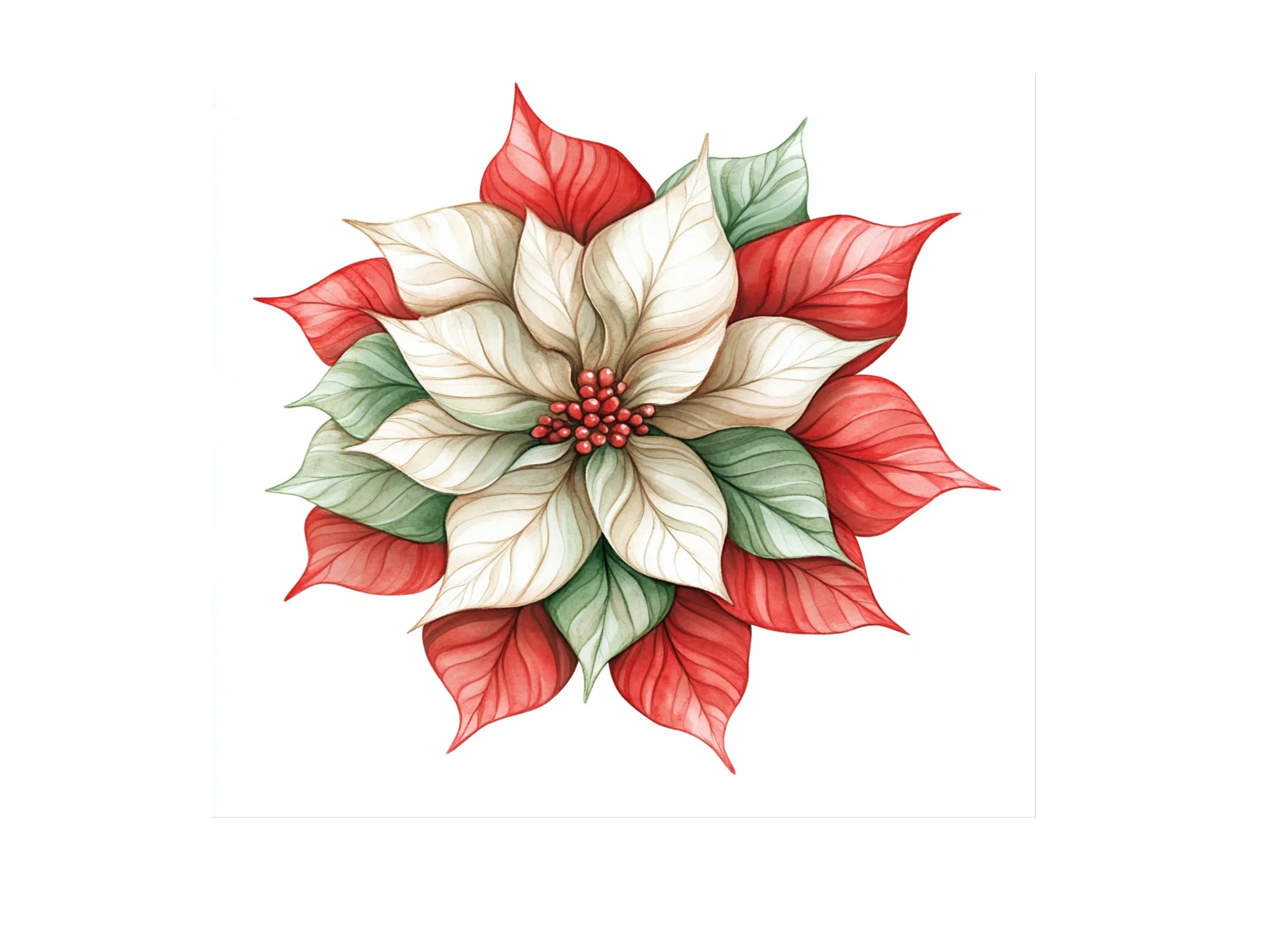 Poinsettia Christmas Flower Clipart Bundle