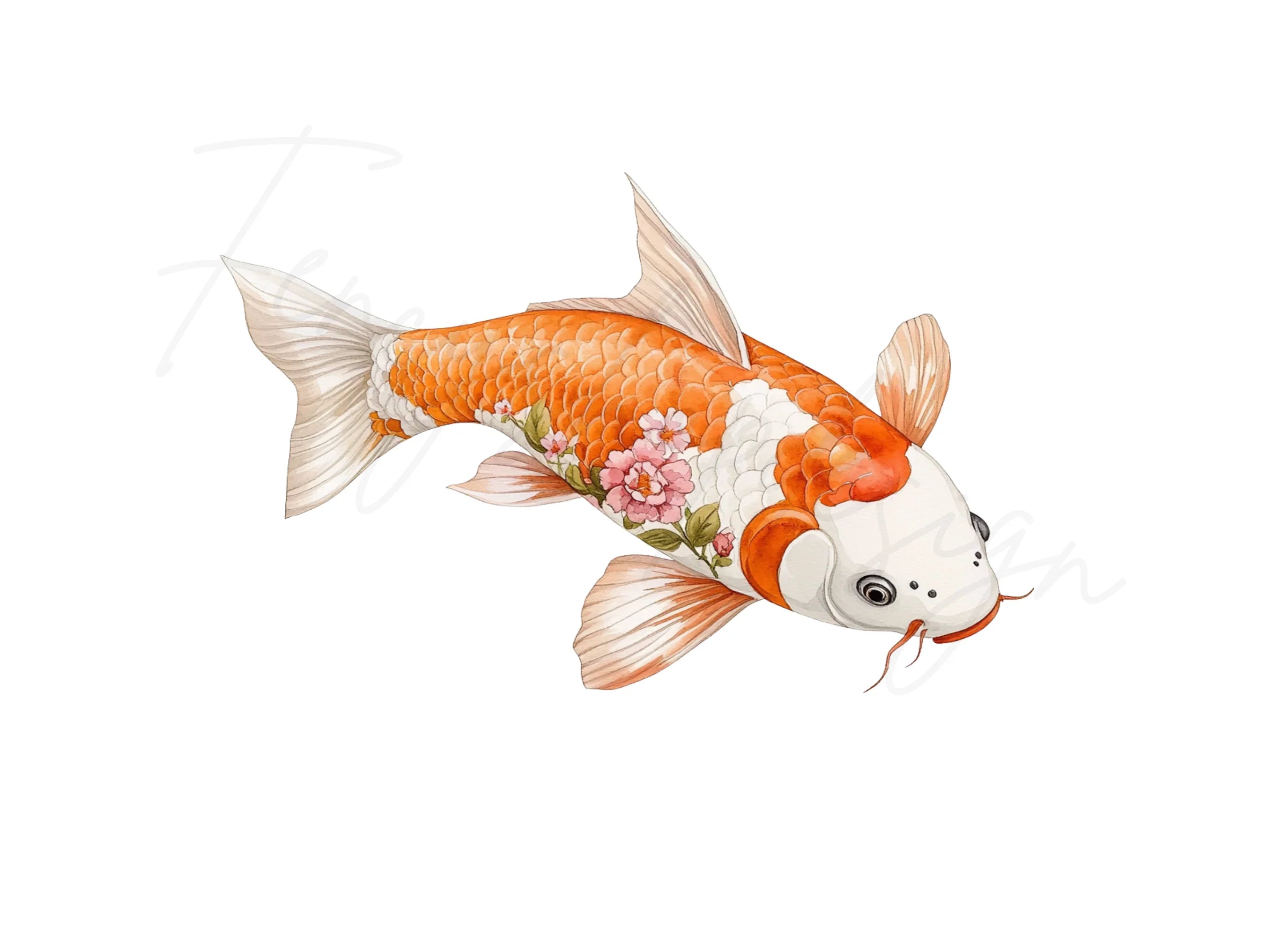 Elegant Koi Fish and Floral Clipart Bundle