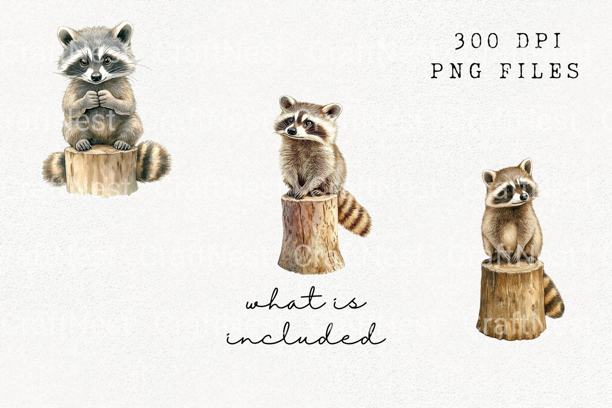 Natural Mushroom Illustrations Clipart Bundle