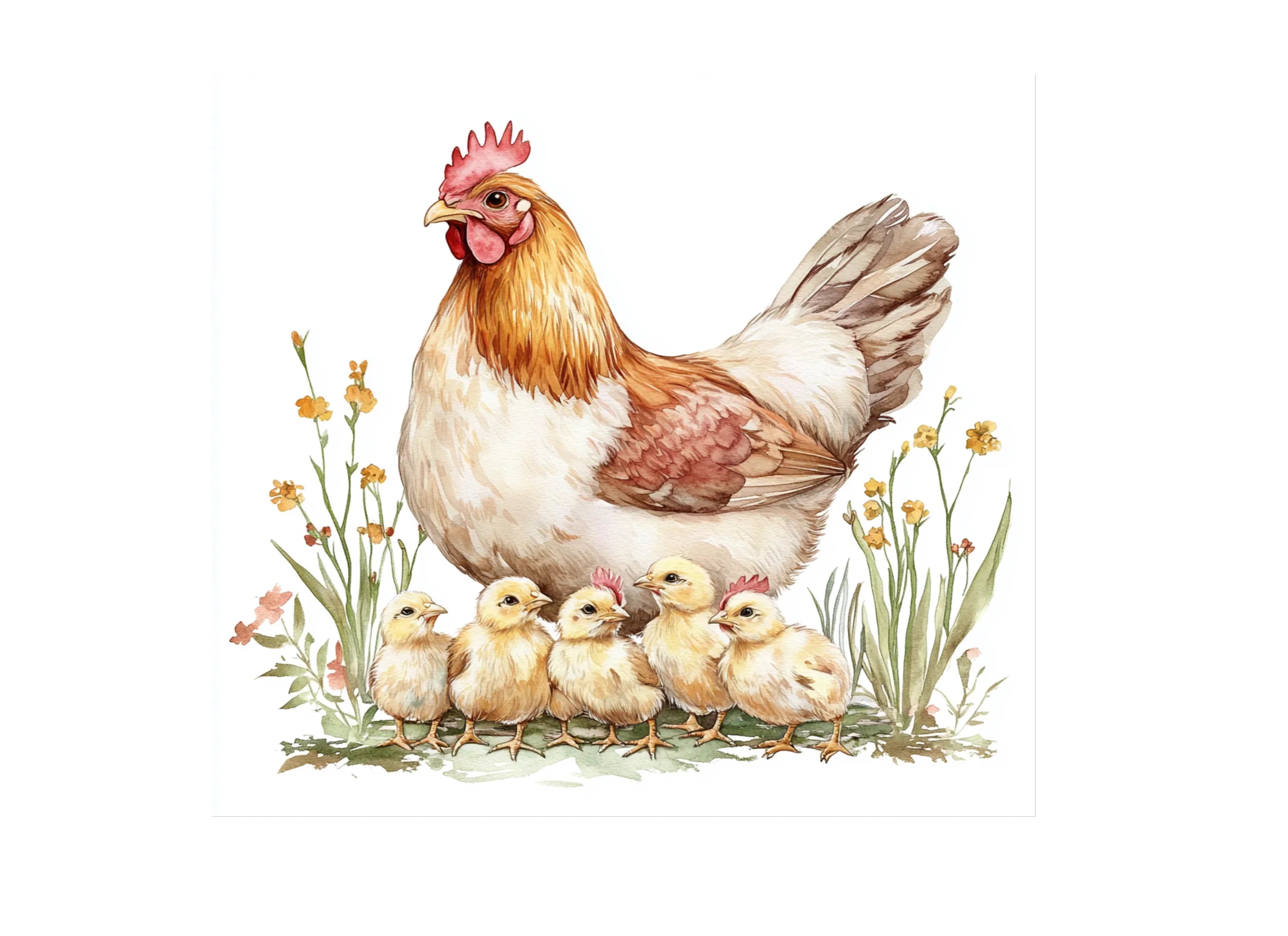 Cute Farm Animal Hen Chicks Clipart Bundle