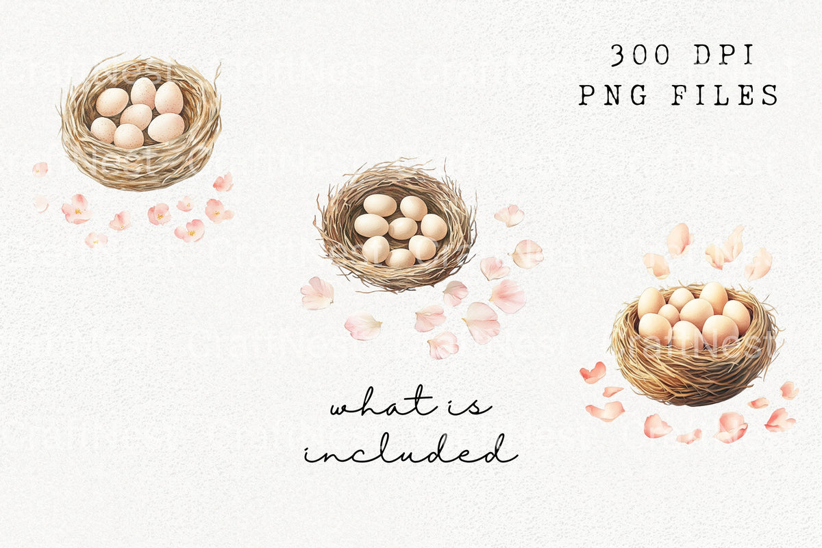 Bird Nests With Eggs Petals Clipart Bundle