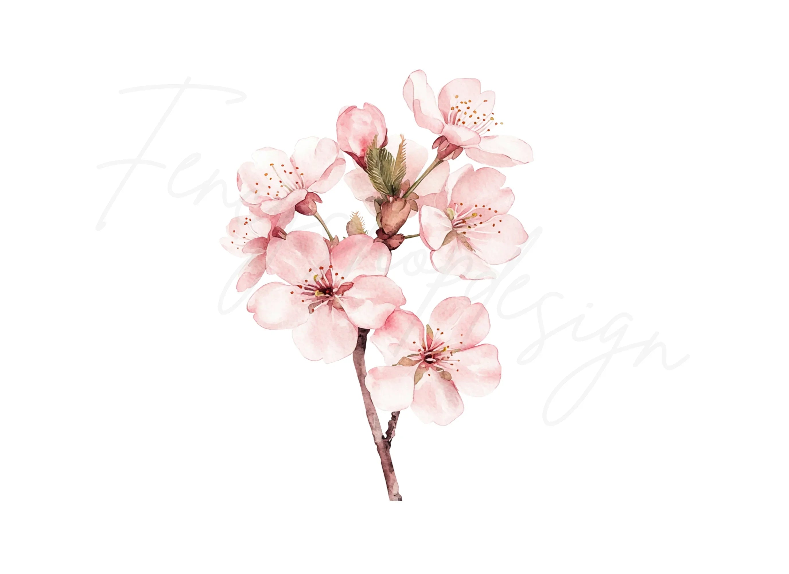 Delicate Cherry Blossom Clipart Bundle
