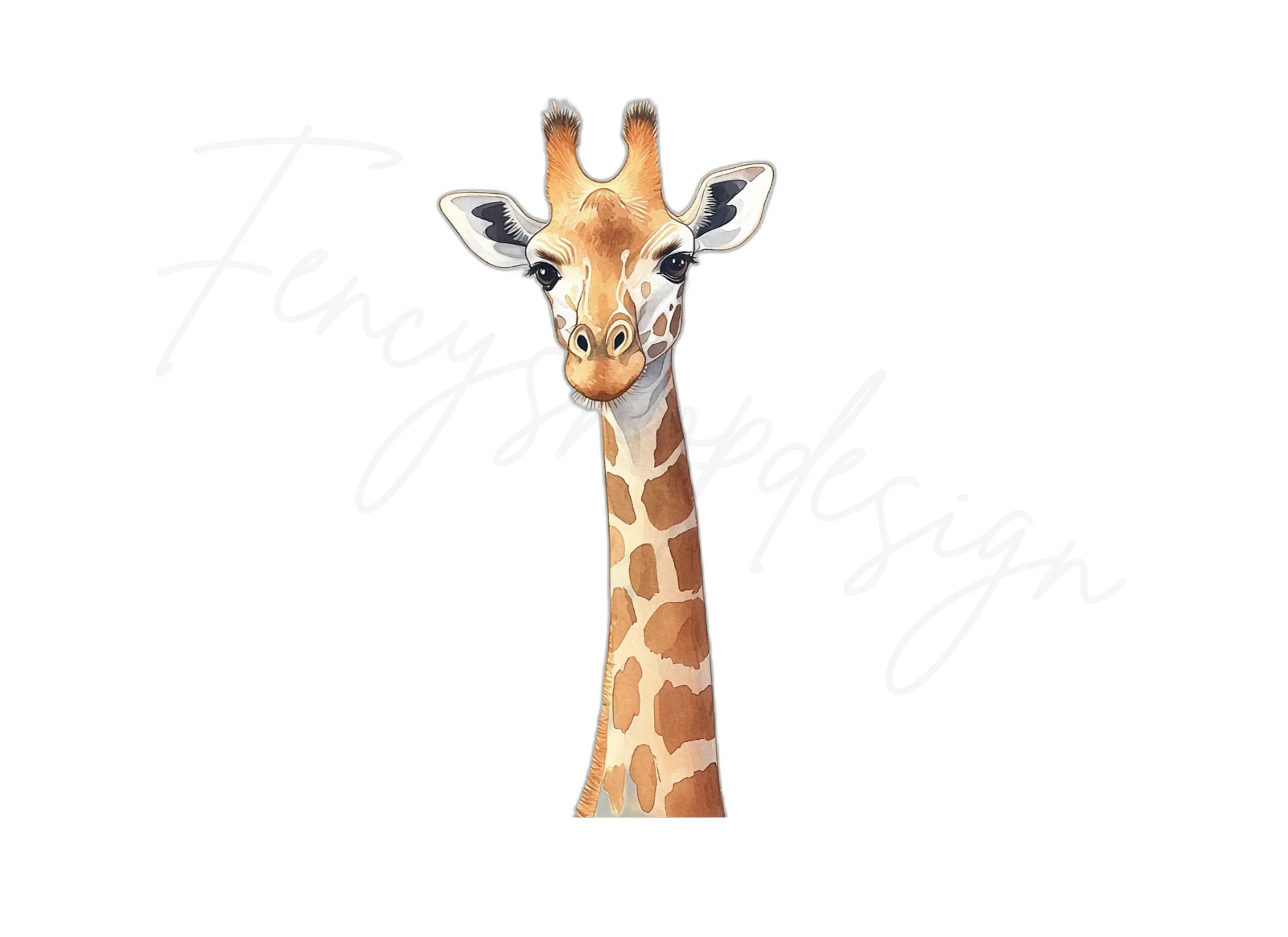 Cute Giraffe Faces Clipart Bundle