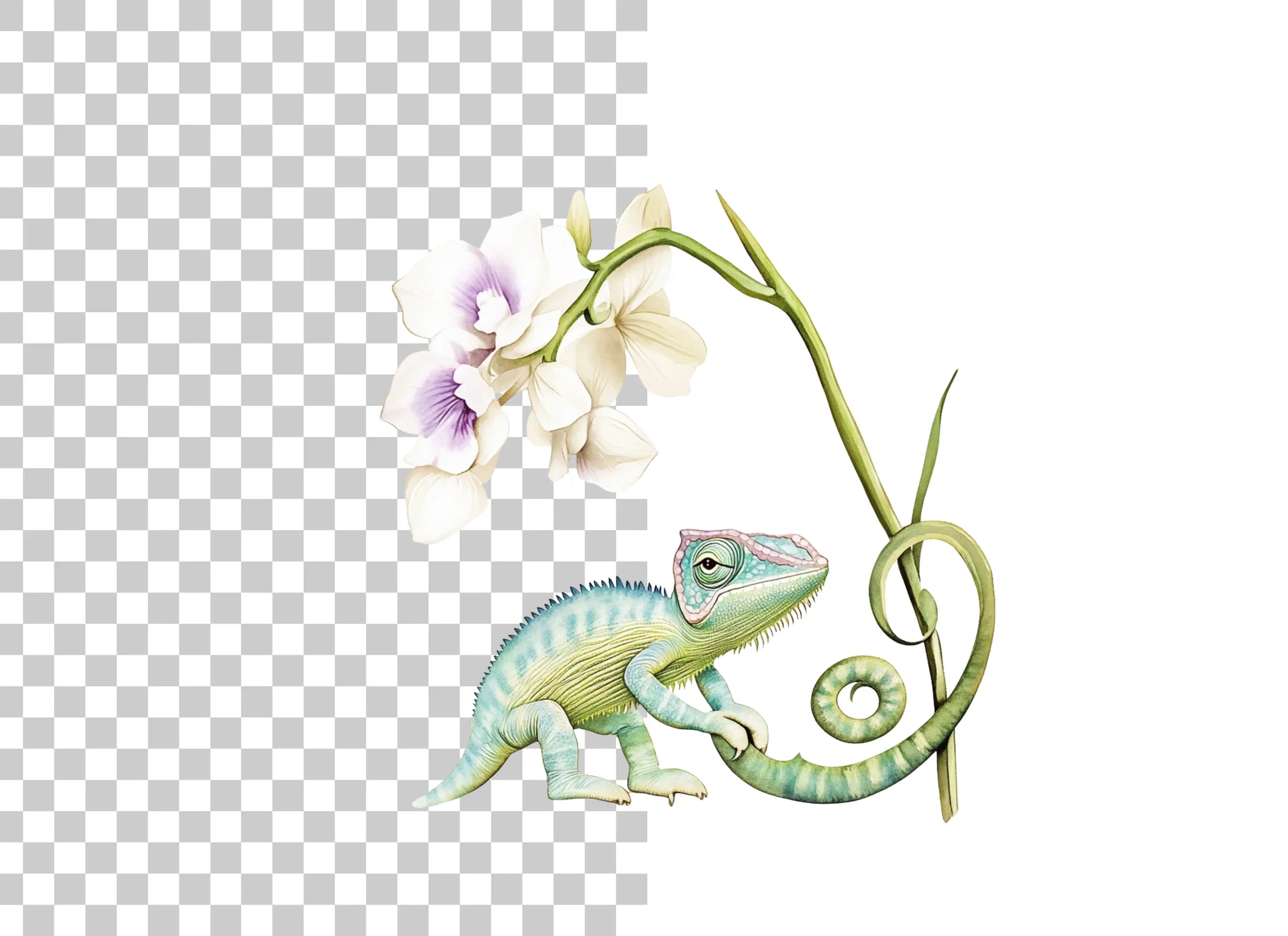 Chameleon and Orchid Clipart Bundle