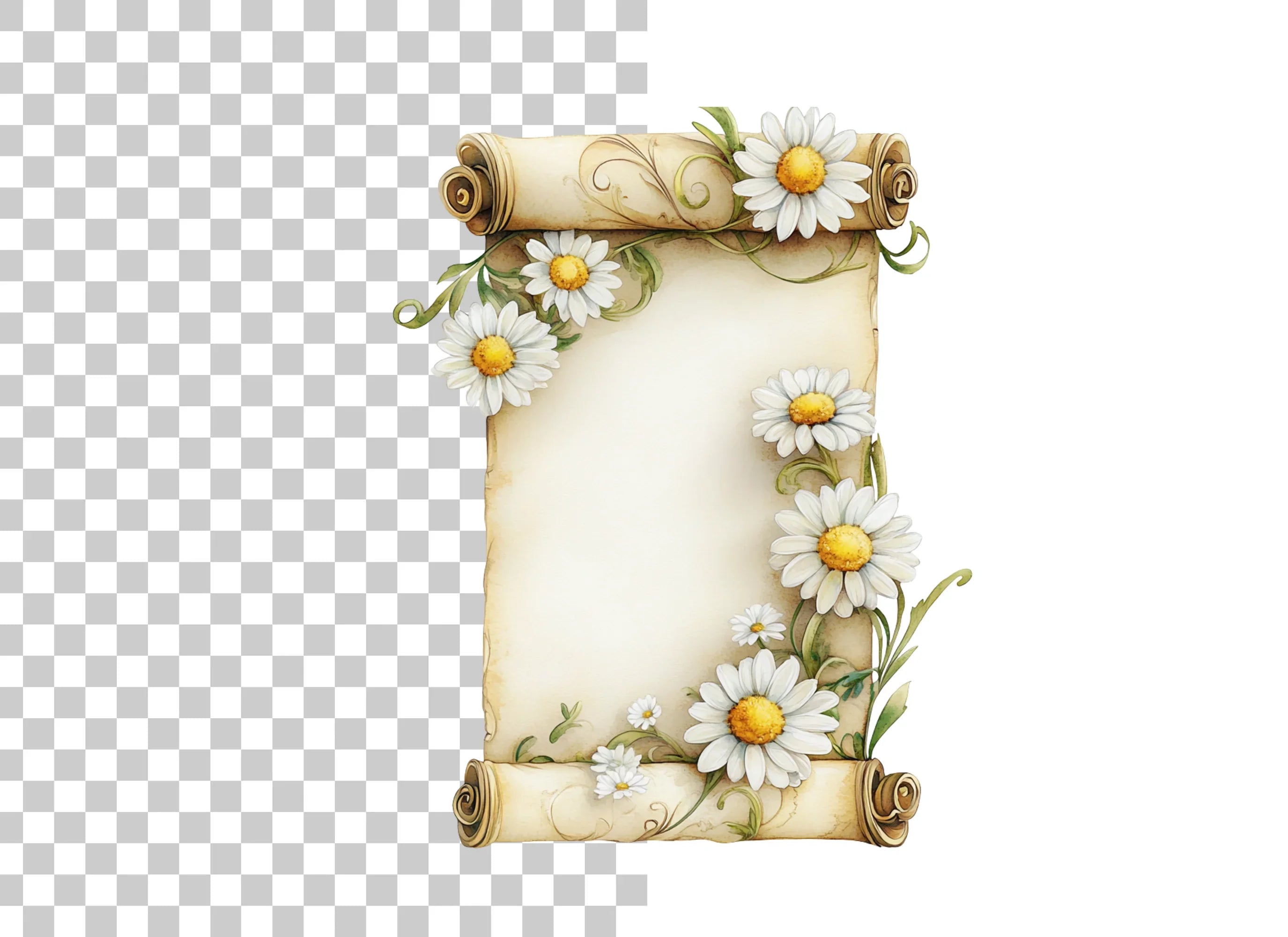 Floral Scroll Border Clipart Bundle