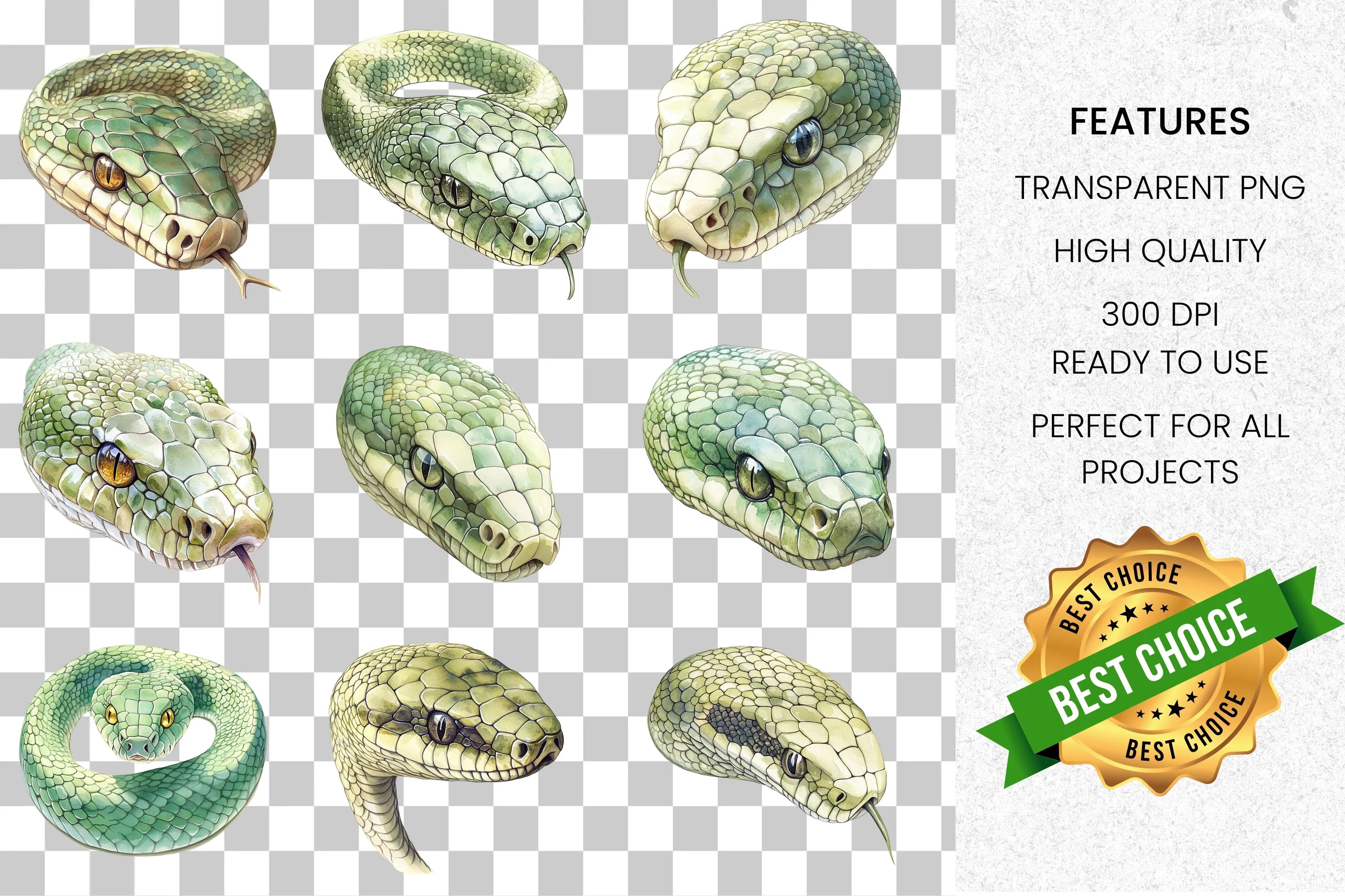 Realistic Snake Clipart Bundle