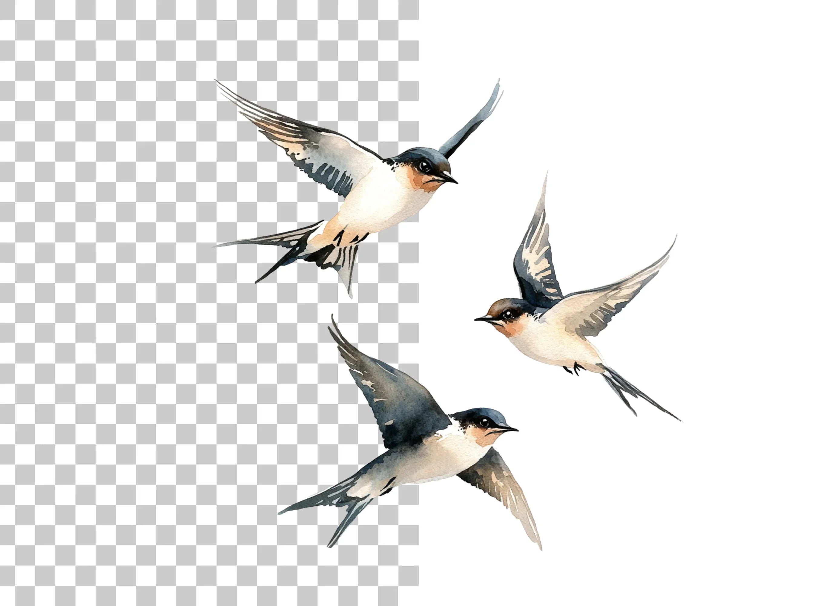 Graceful Swallows Flying Clipart Bundle