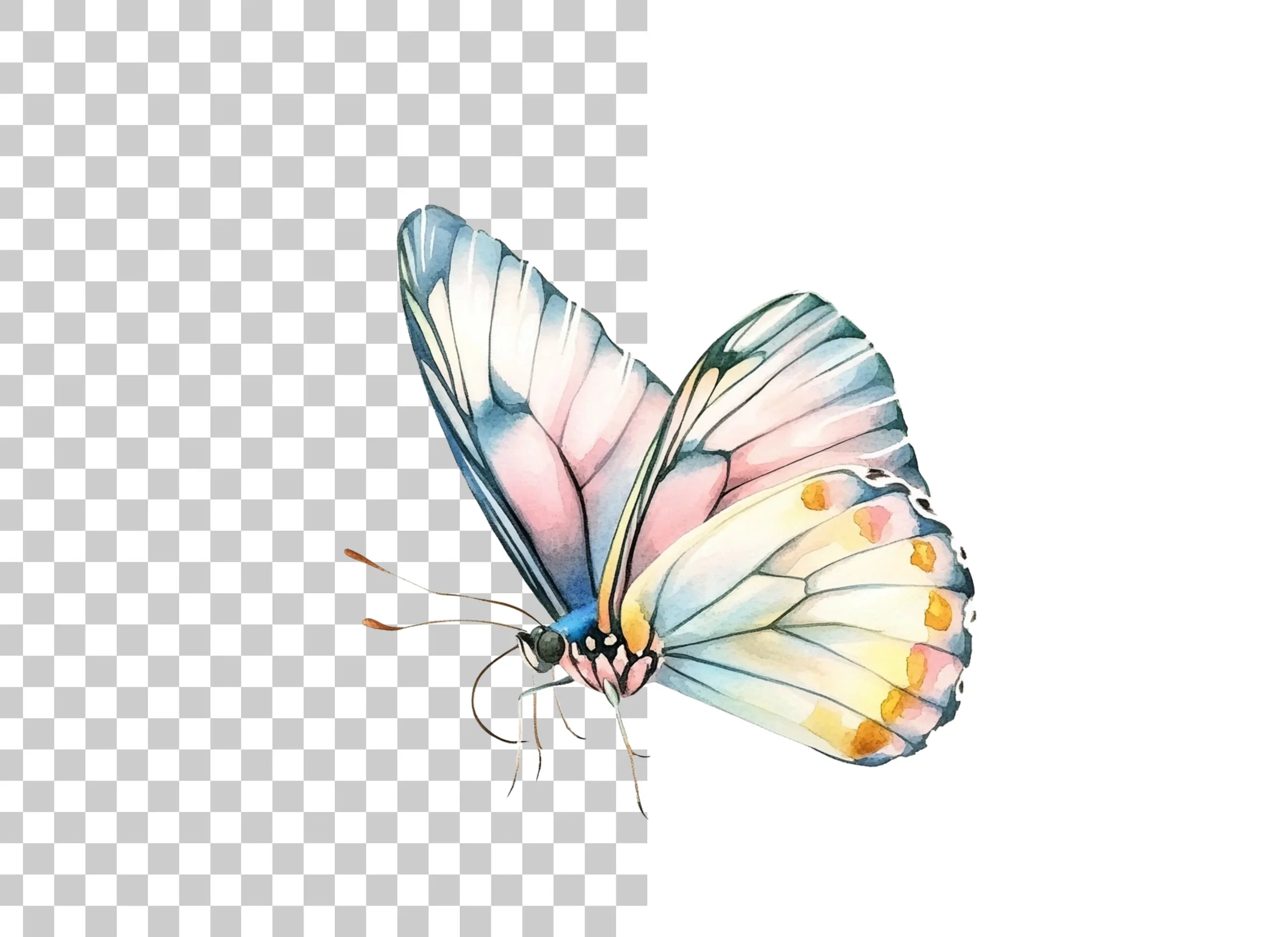 Soft Hues Butterfly Clipart Bundle