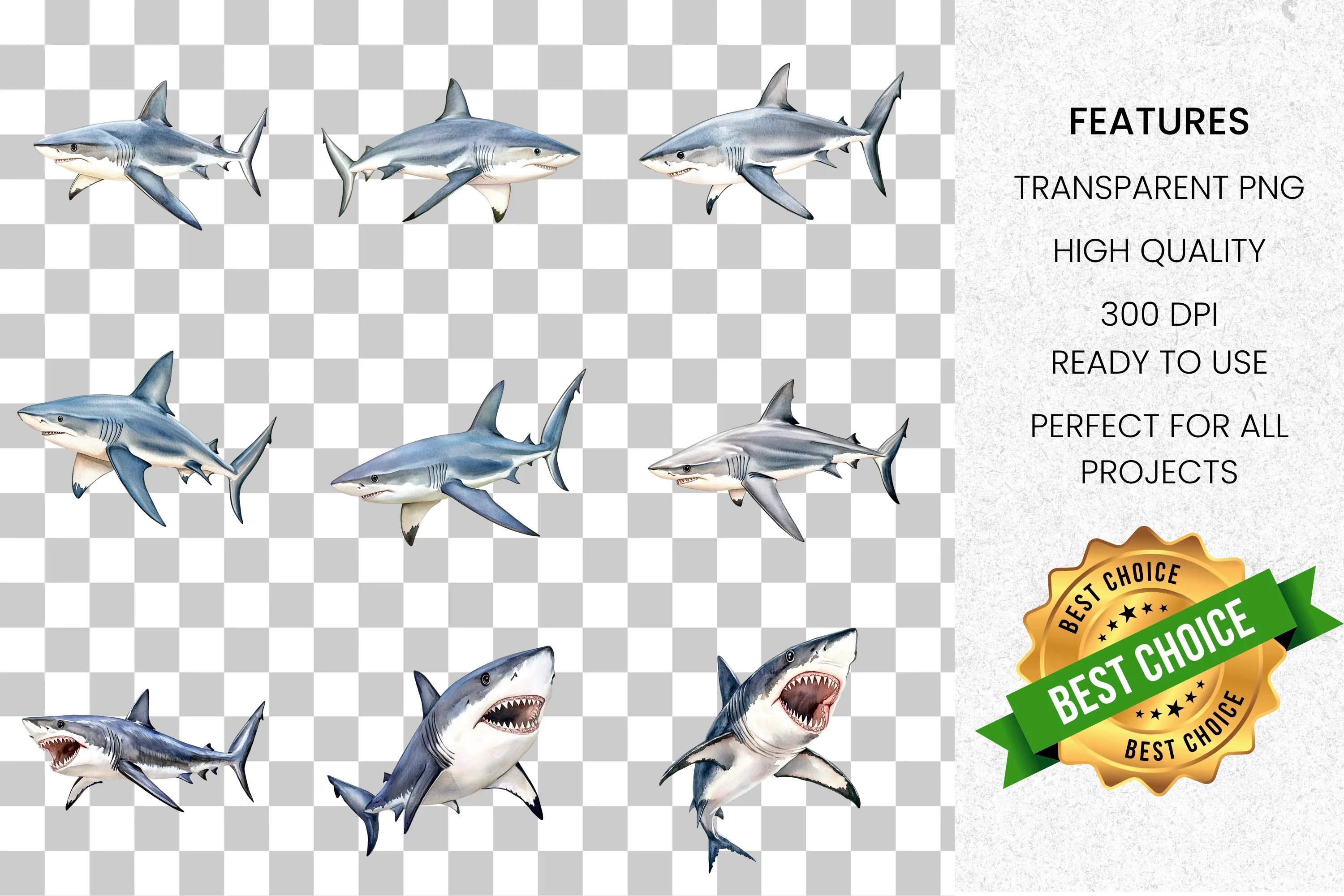 Dynamic Shark Clipart Bundle