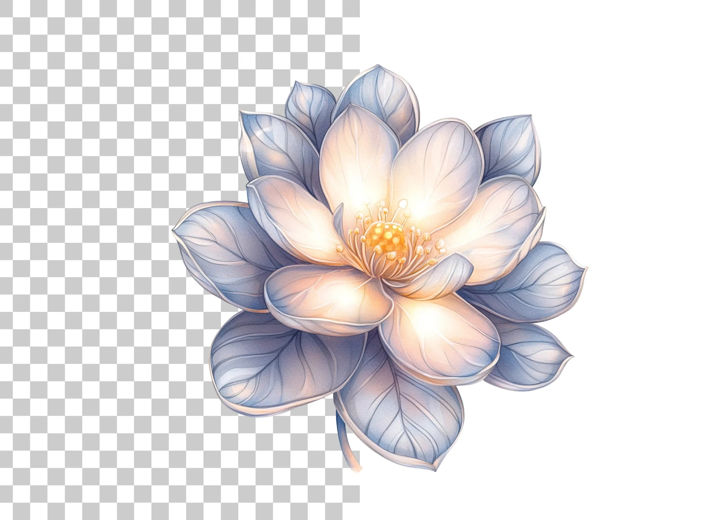 Elegant White Lotus Flower Clipart Bundle