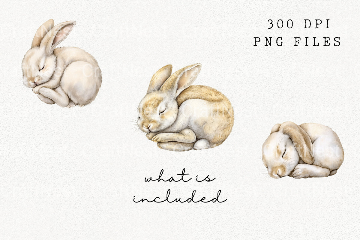 Cute Sleeping Bunnies Clipart Bundle