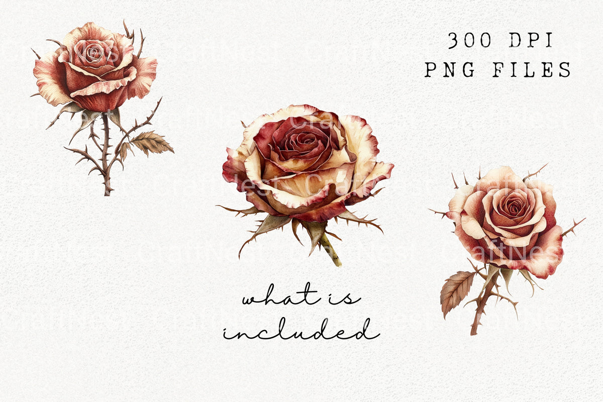 Vintage Rose Clipart Bundle