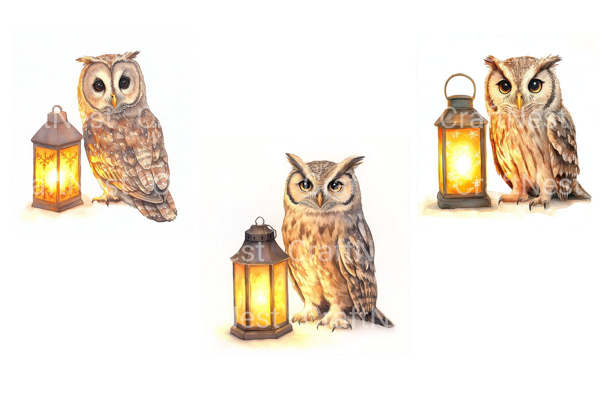 Wise Owls With Lanterns Clipart Bundle