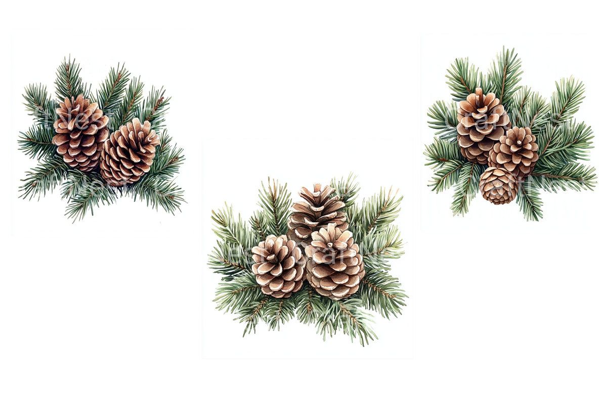Pinecones And Evergreen Branches Clipart Bundle