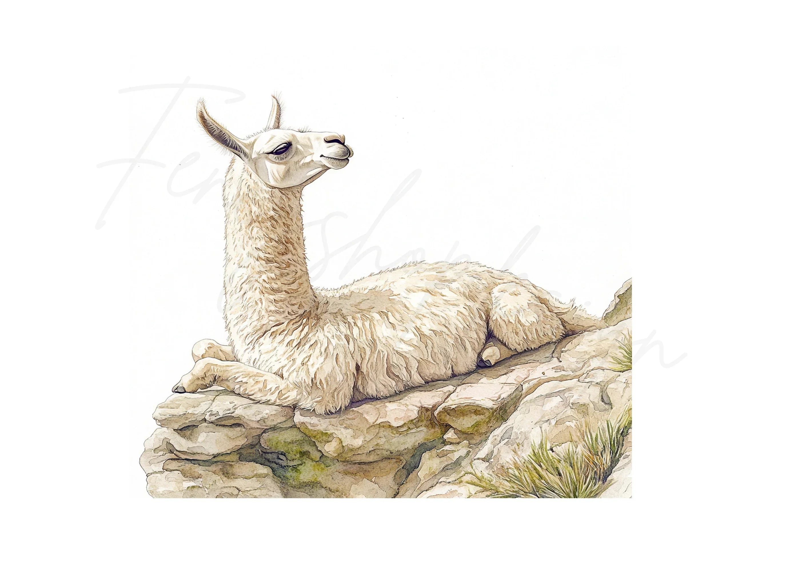 Llama on Rocks Clipart Bundle