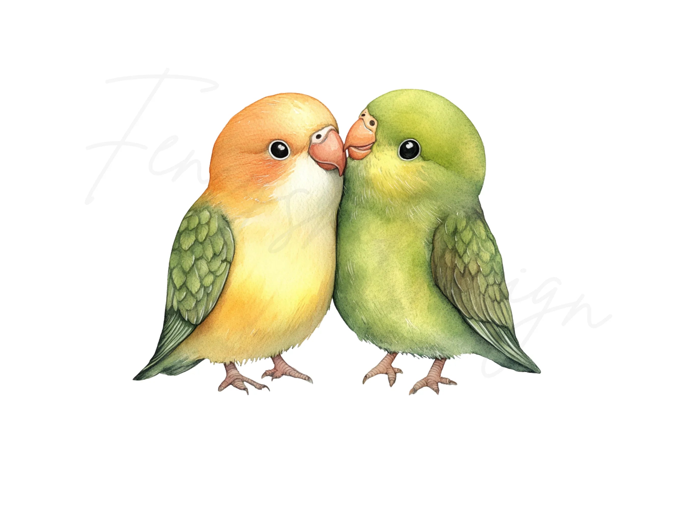 Cute Love Birds Clipart Bundle