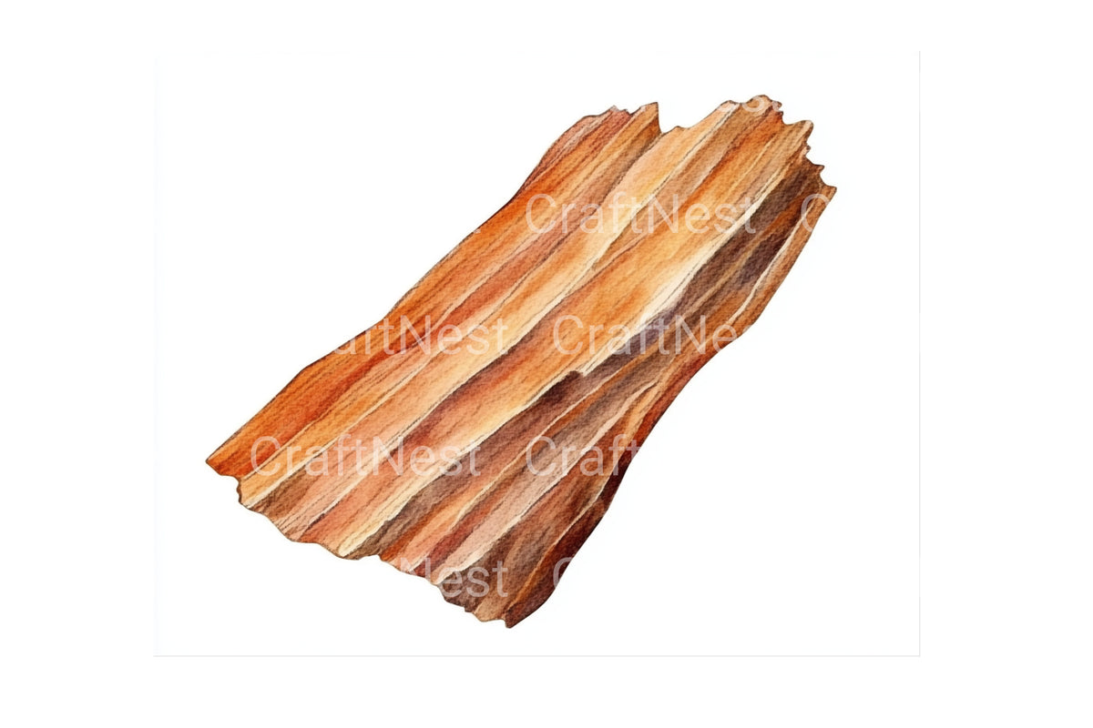 Wood Slices Clipart Bundle