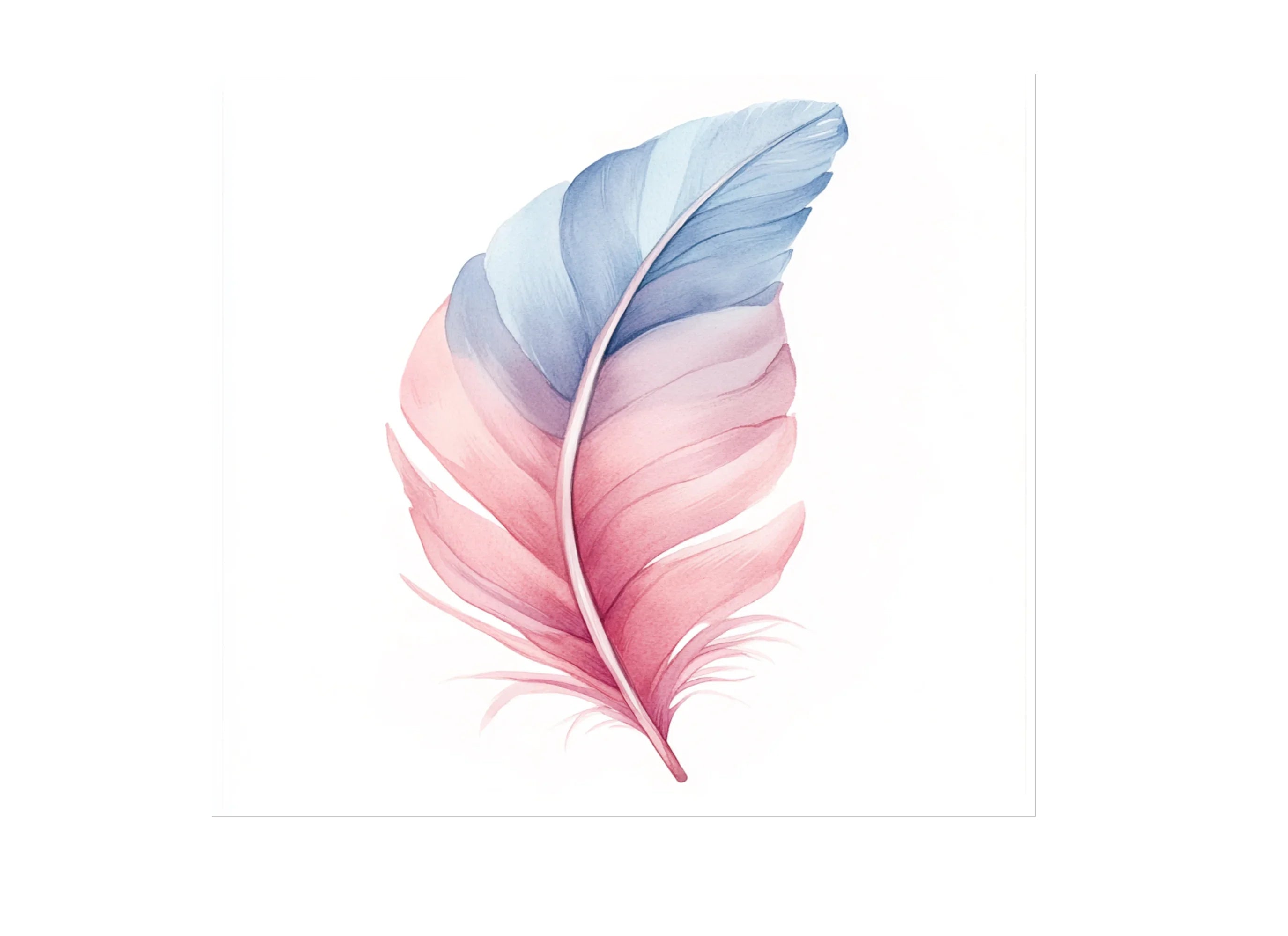 Vibrant Feather Illustrations Clipart Bundle