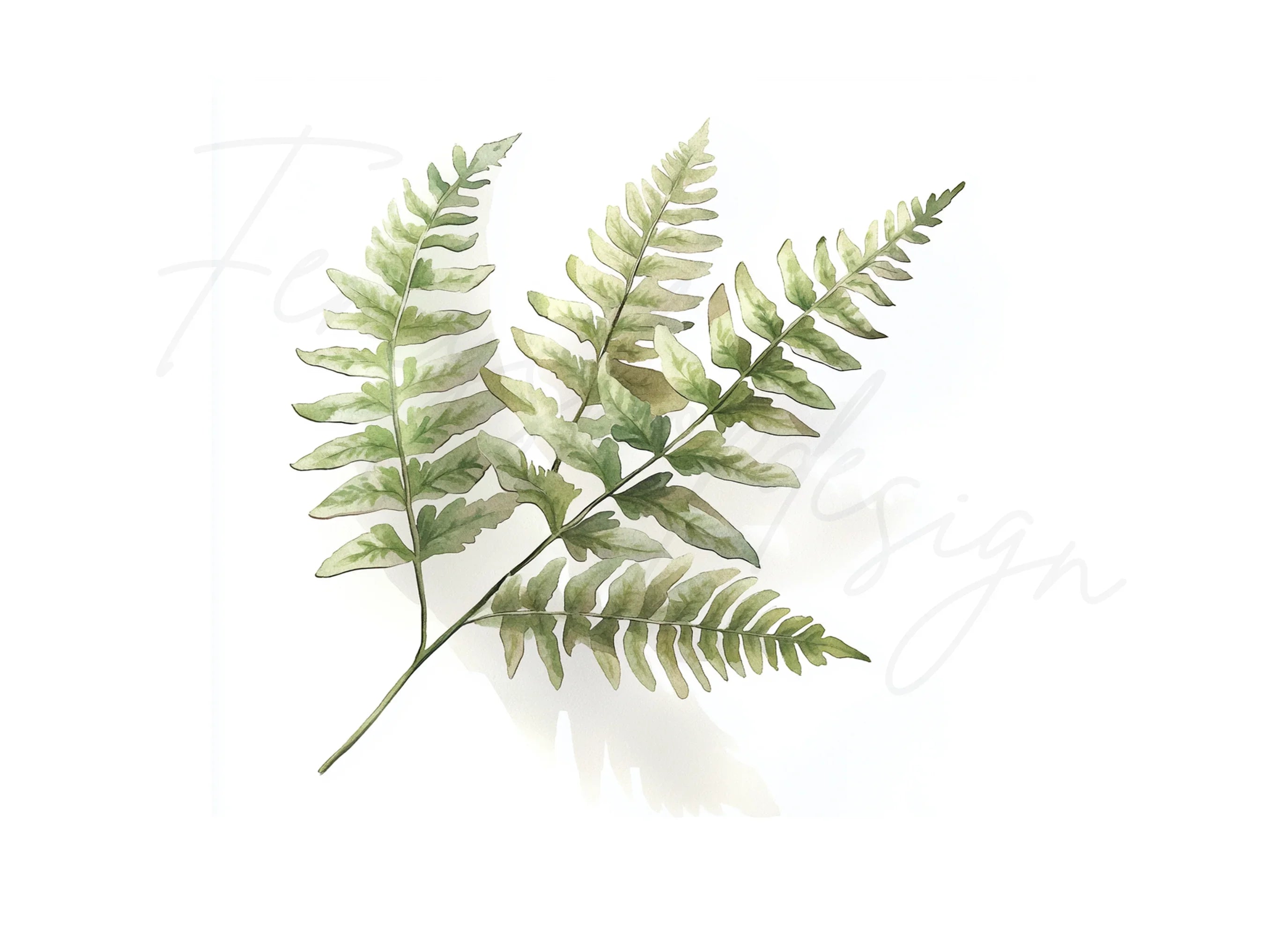 Delicate Fern Clipart Bundle