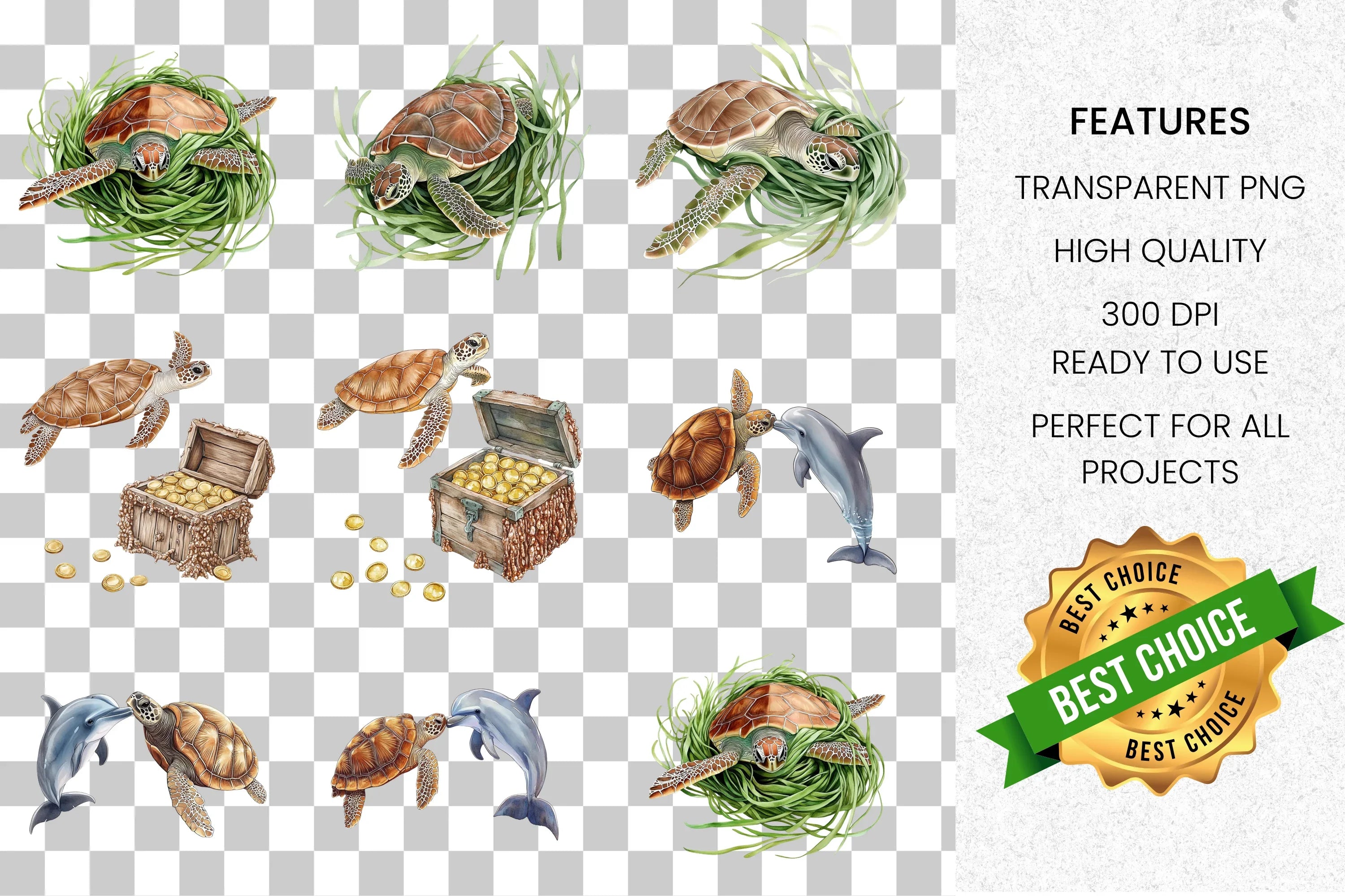 Marine Life Turtle and Dolphin Treasure Clipart Bundle