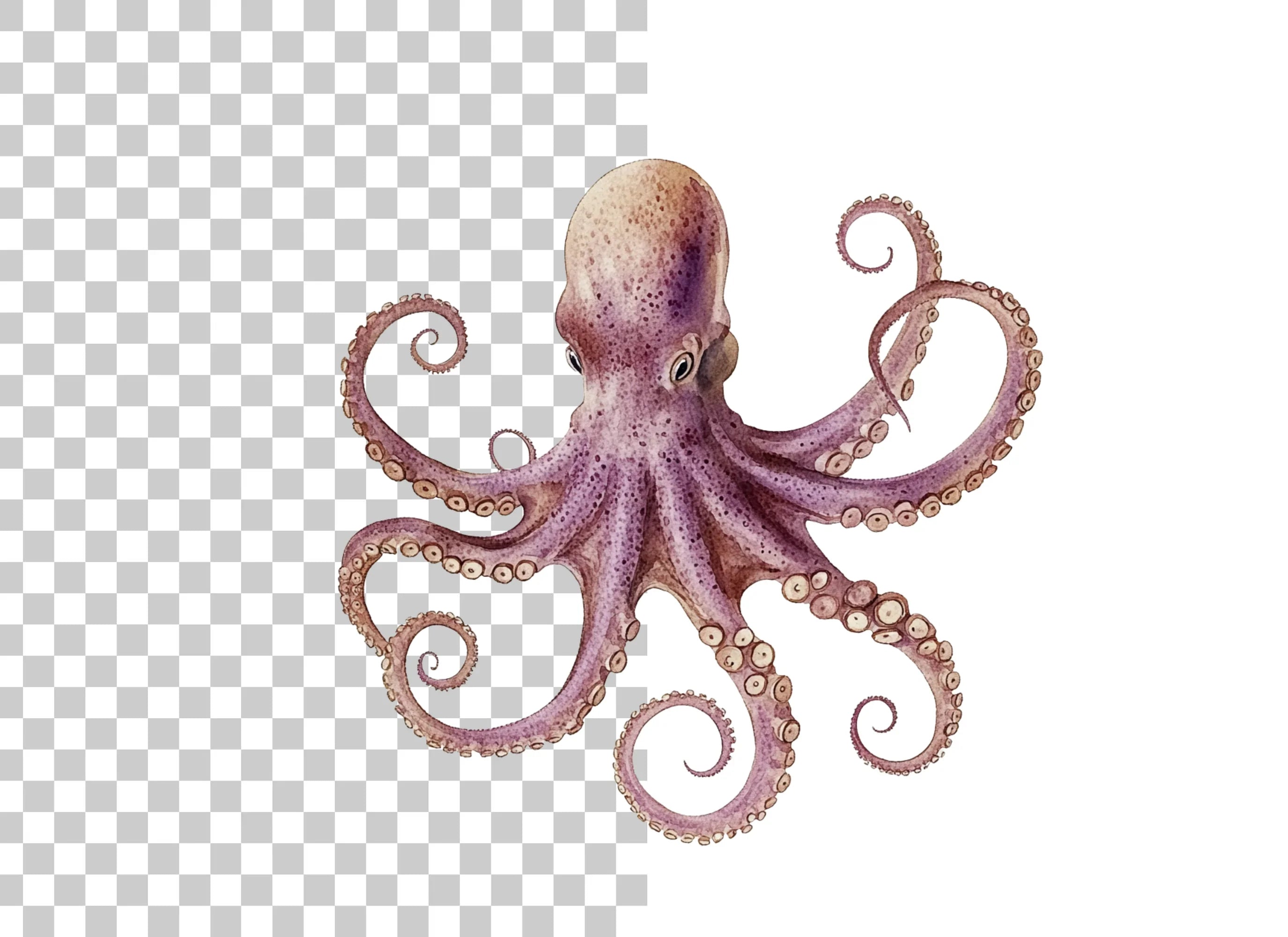 Octopus Clipart Bundle