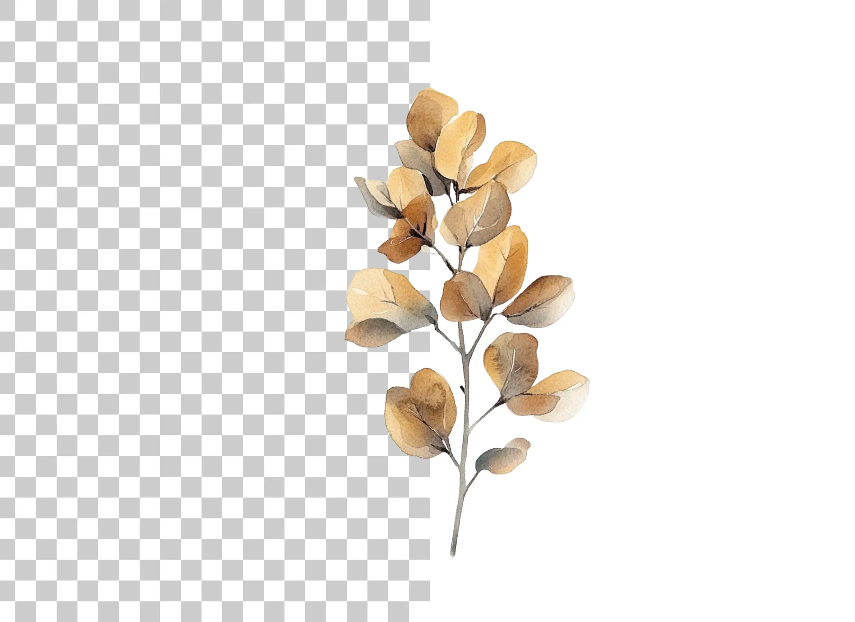 Eucalyptus Branch Clipart Bundle
