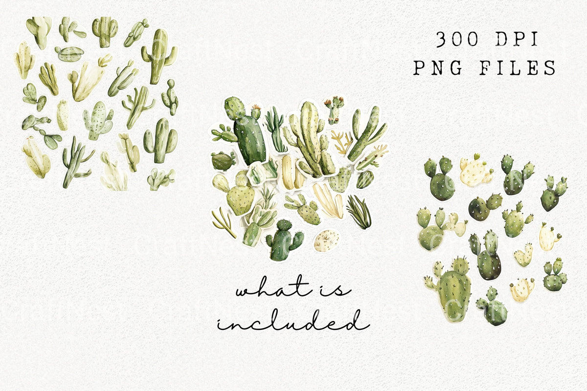 Cactus Clipart Bundle