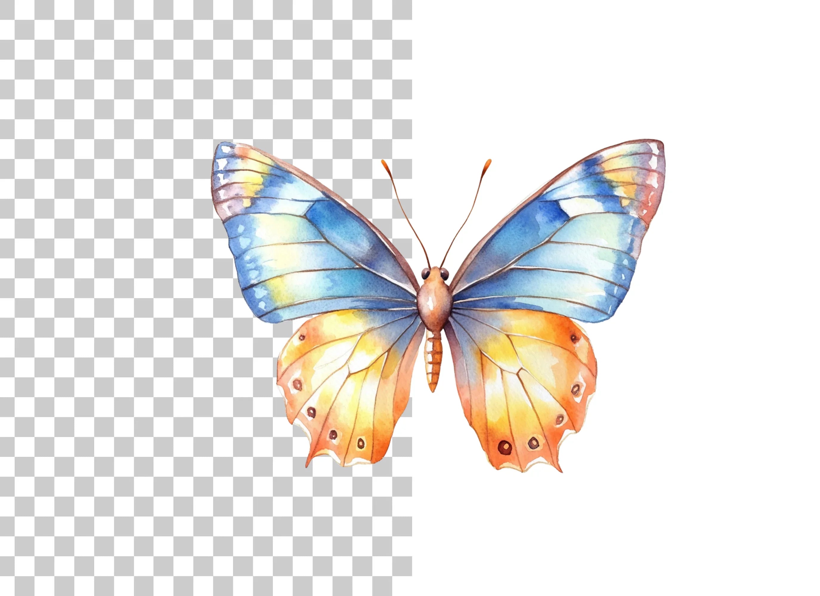 Blue and Orange Butterflies Clipart Bundle