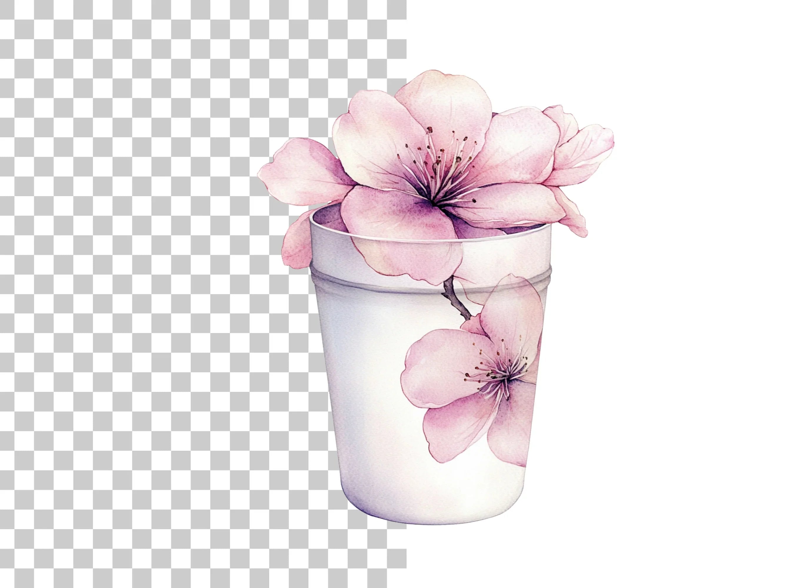 Pink Cherry Blossom in Cup Clipart Bundle