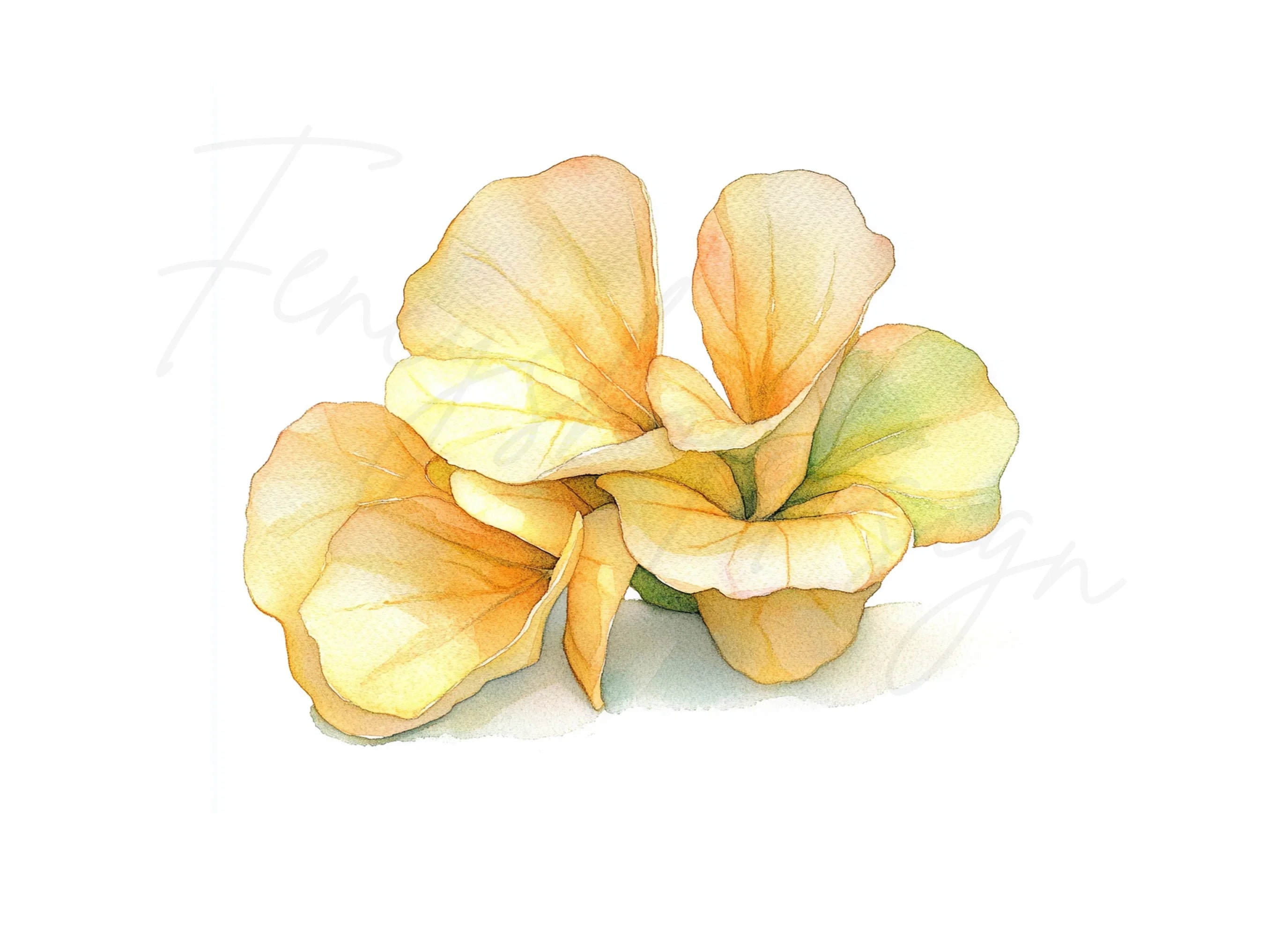 Yellow Floral Leaf Clipart Bundle
