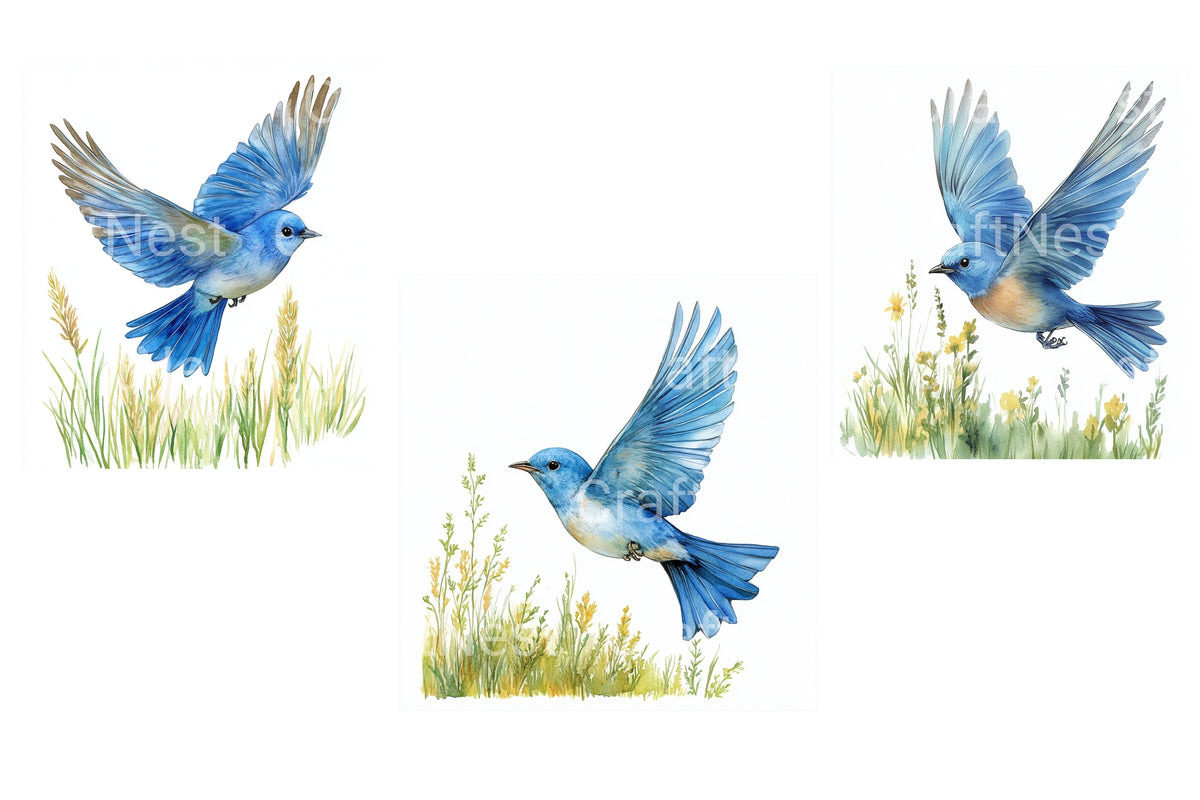 Bluebird In Flight Clipart Bundle