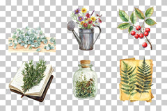 Botanical Clipart Set Bundle - CraftNest - Digital Crafting and Art