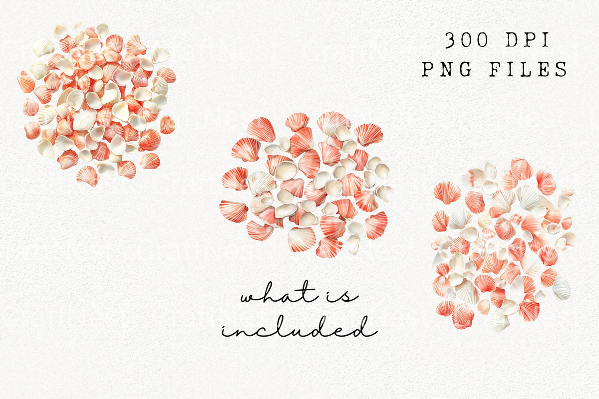 Pink Seashells Clipart Bundle