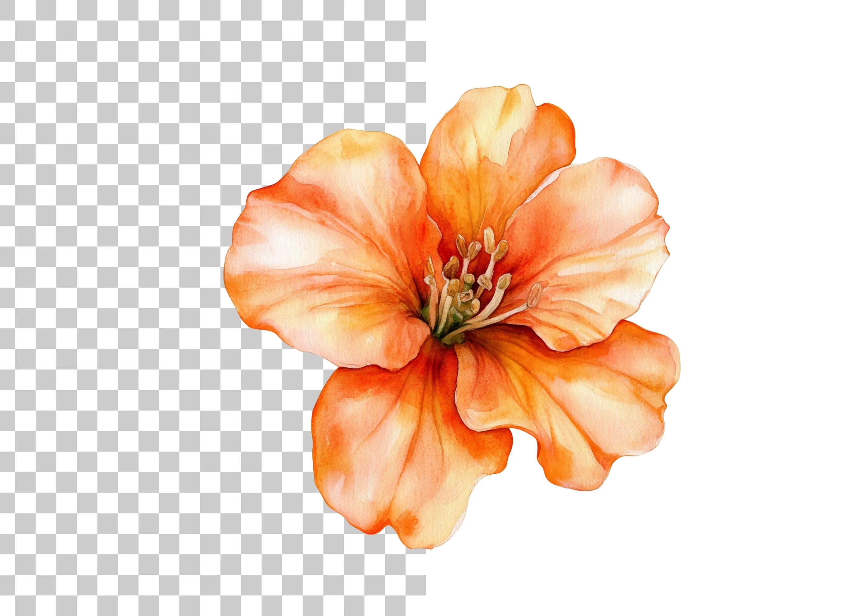 Vibrant Orange Flower Clipart Bundle
